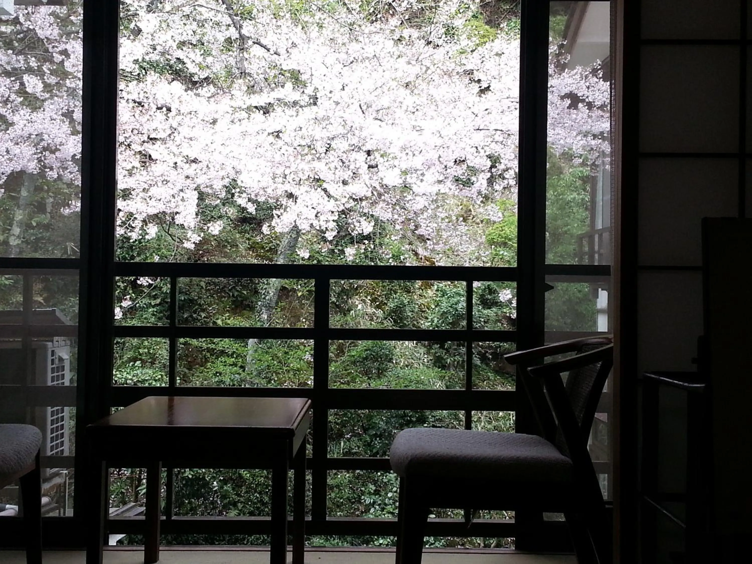 View (from property/room) in Tsukimotoya Ryokan
