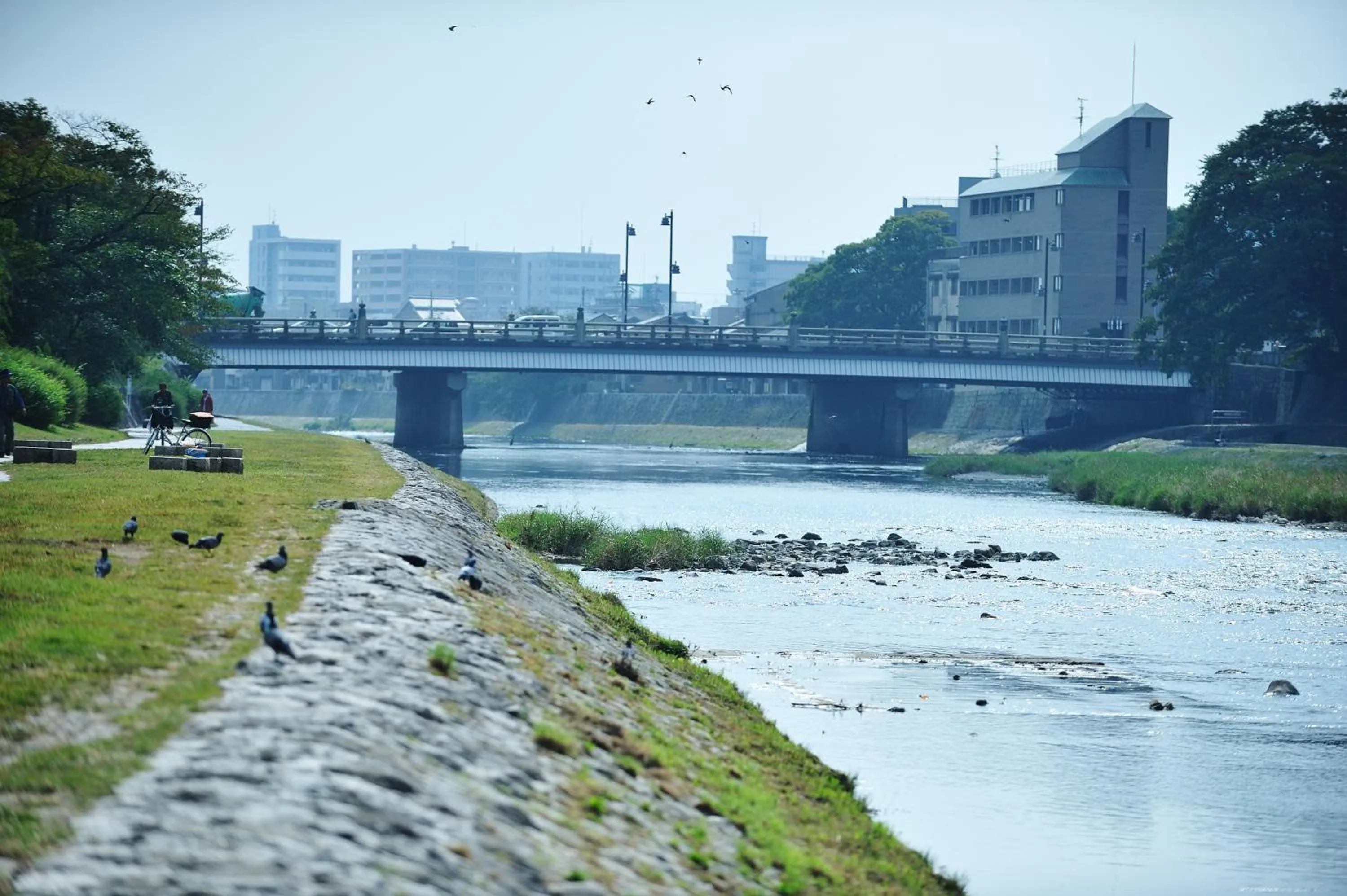 Natural landscape in Aoi Hotel Kyoto