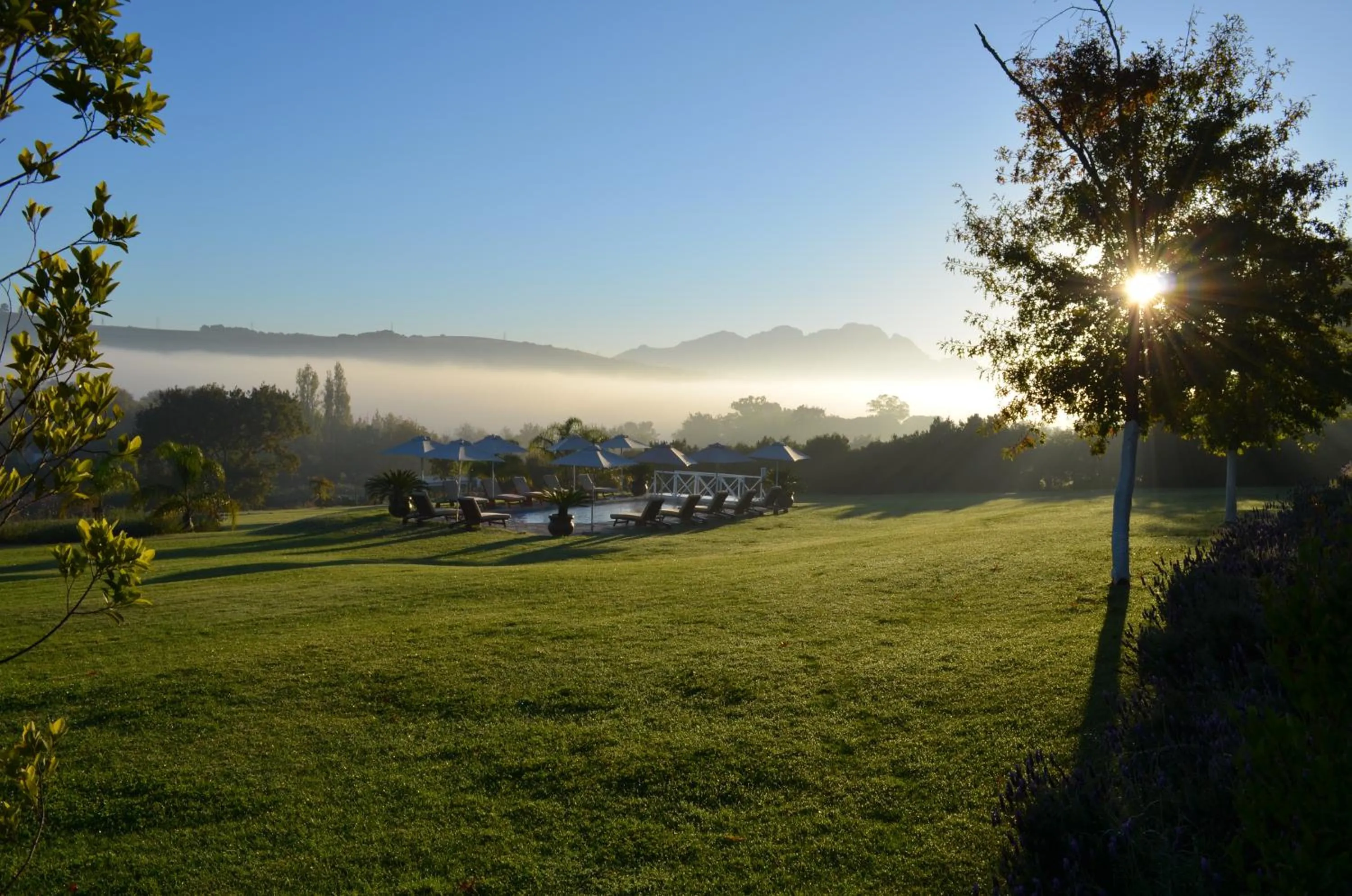 Garden in Cultivar Boutique Hotel