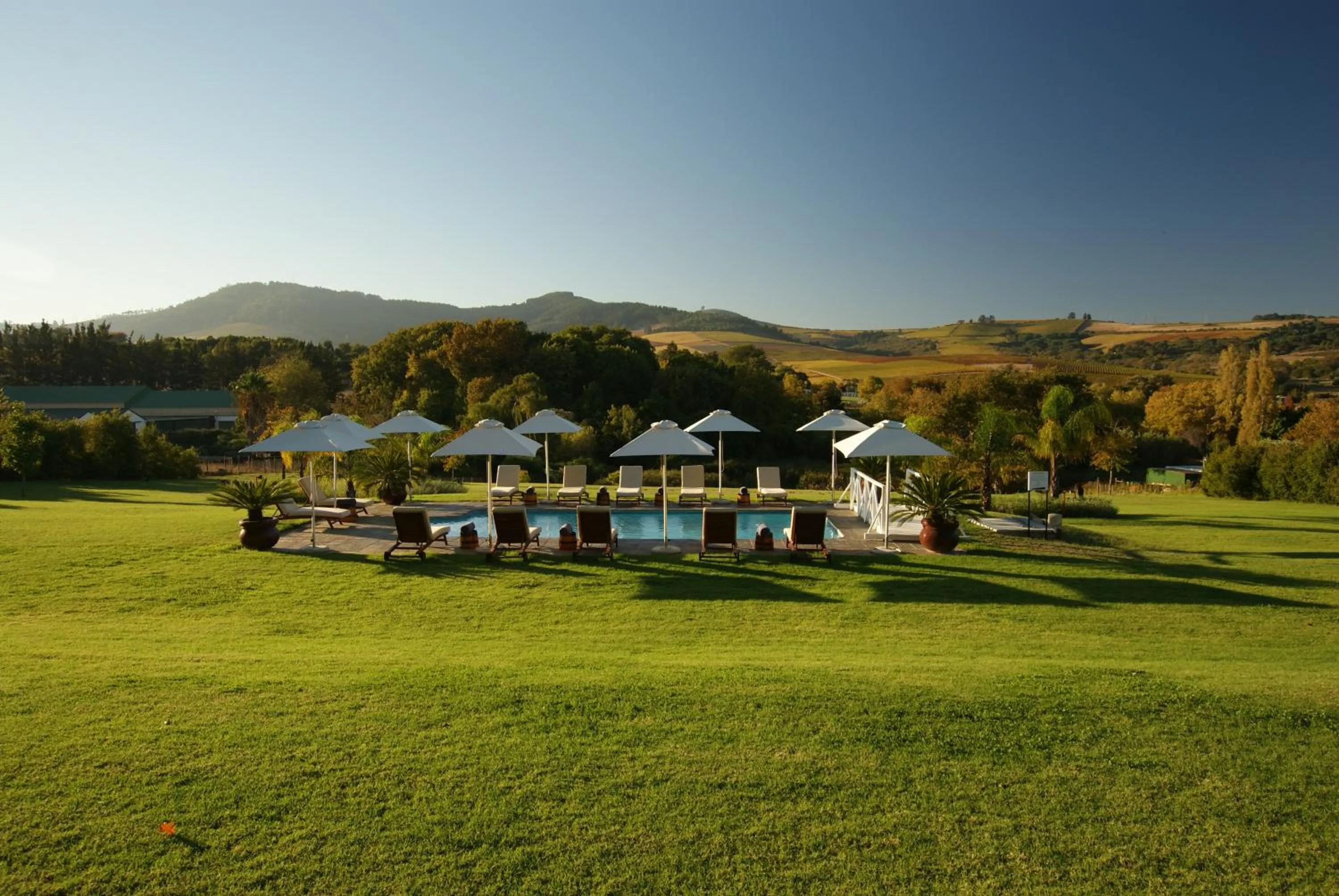 Garden in Cultivar Boutique Hotel