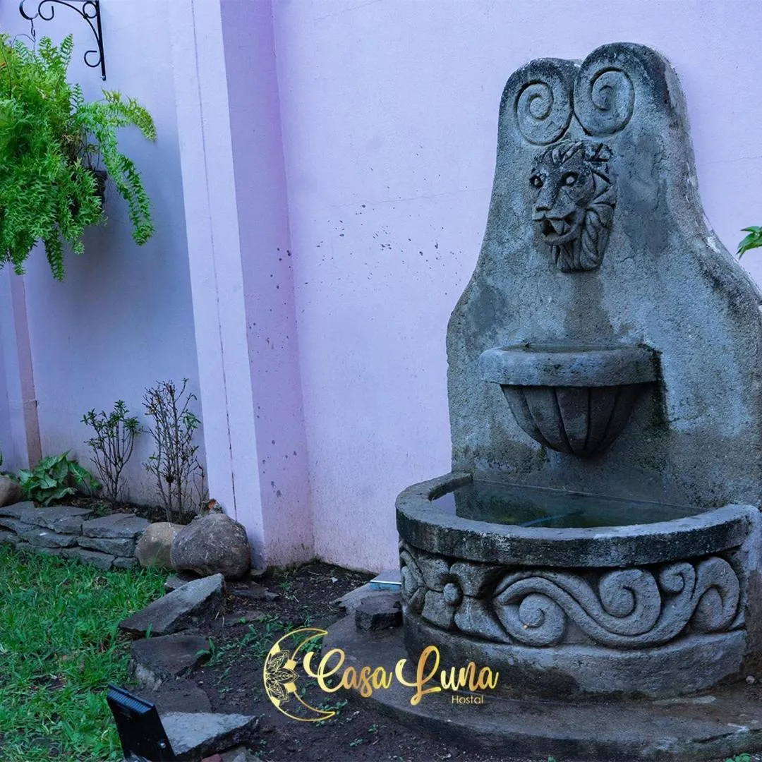Balcony/Terrace in Hostal Casa Luna