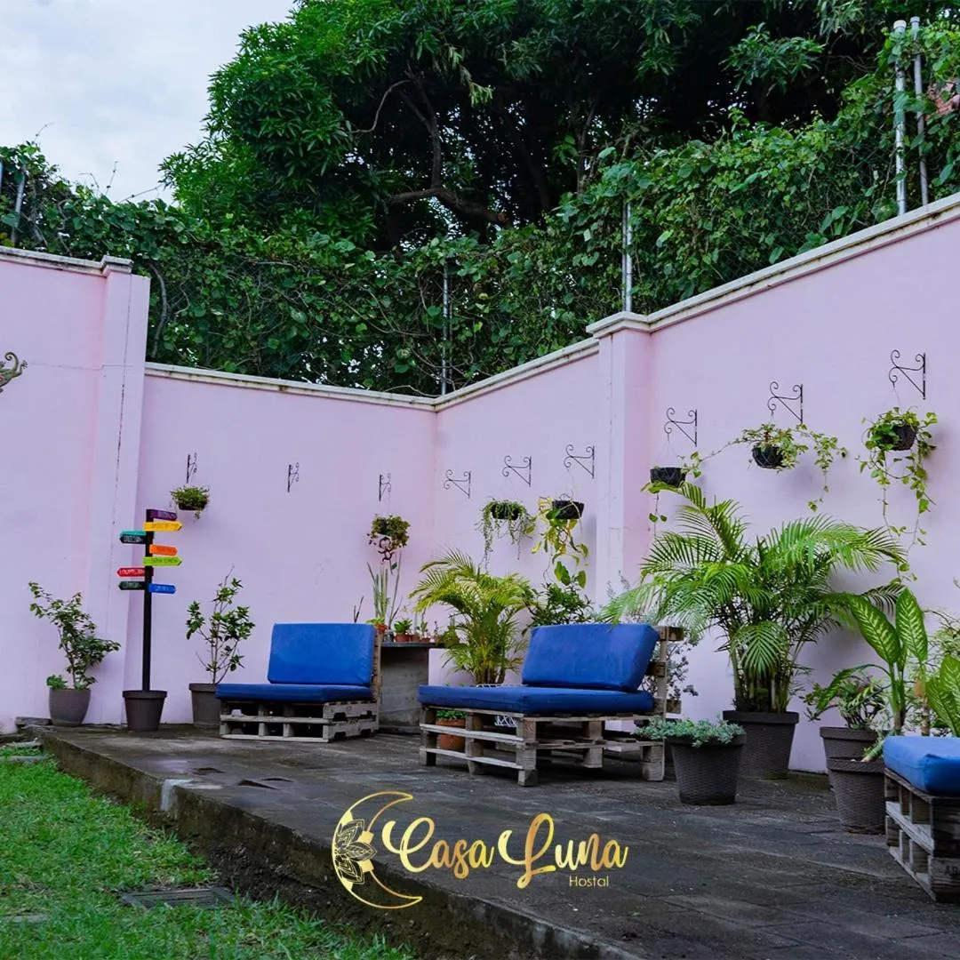 Garden in Hostal Casa Luna