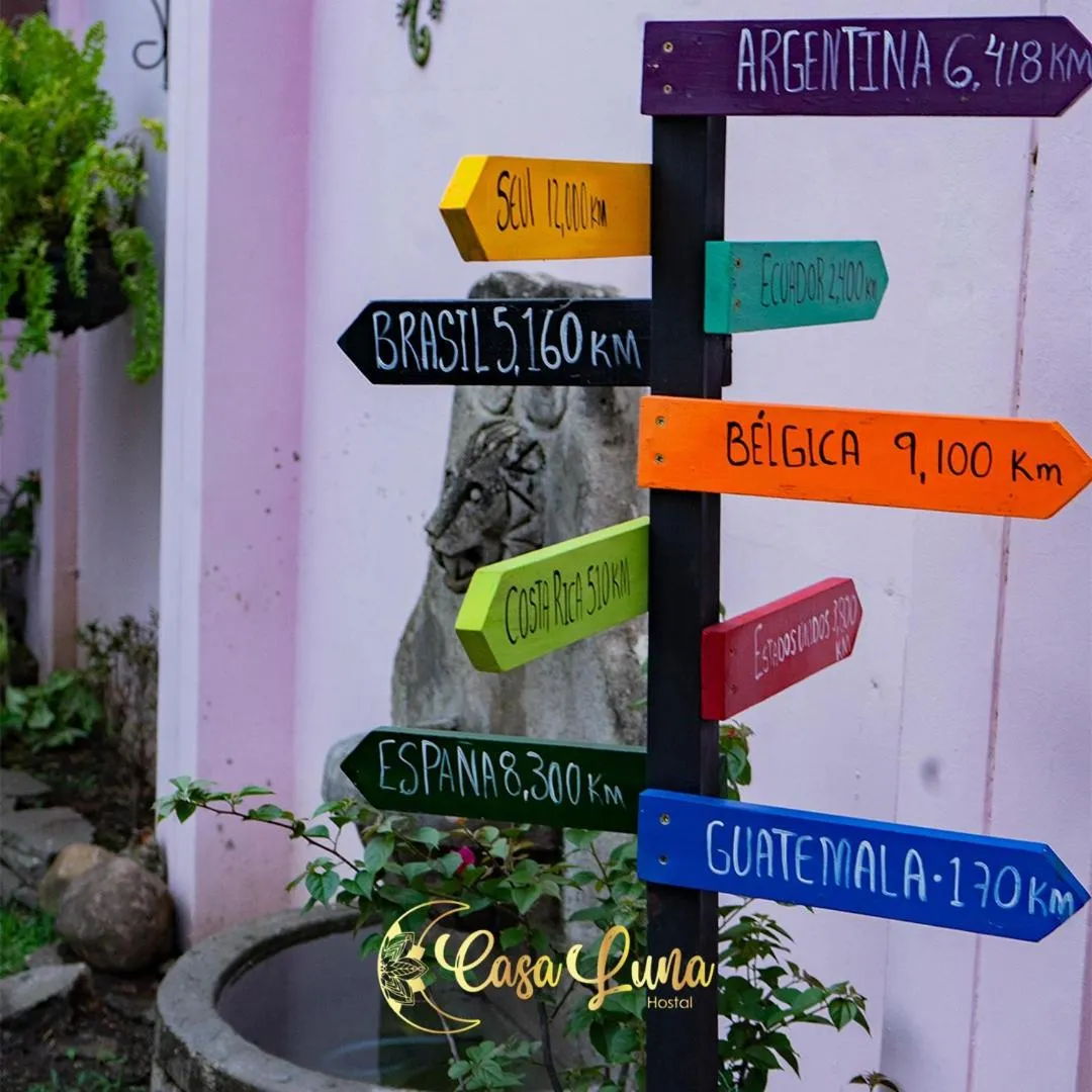 Balcony/Terrace in Hostal Casa Luna
