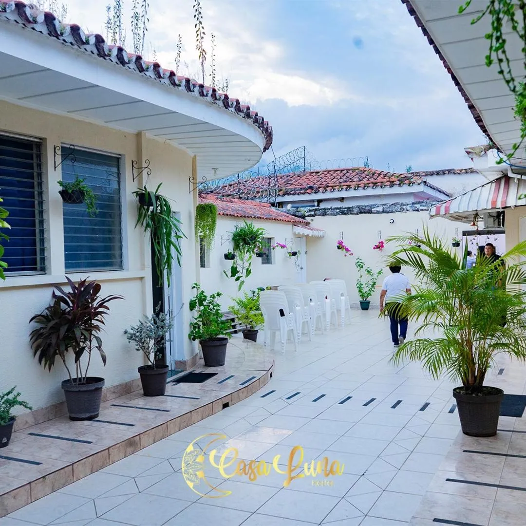 Garden in Hostal Casa Luna