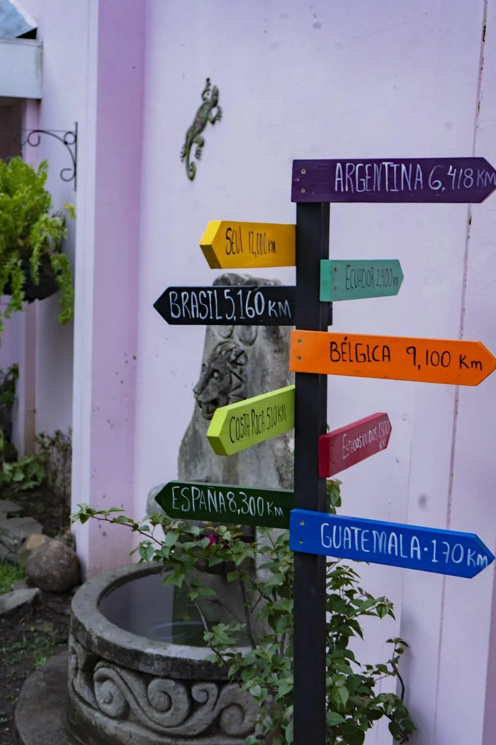 Garden in Hostal Casa Luna