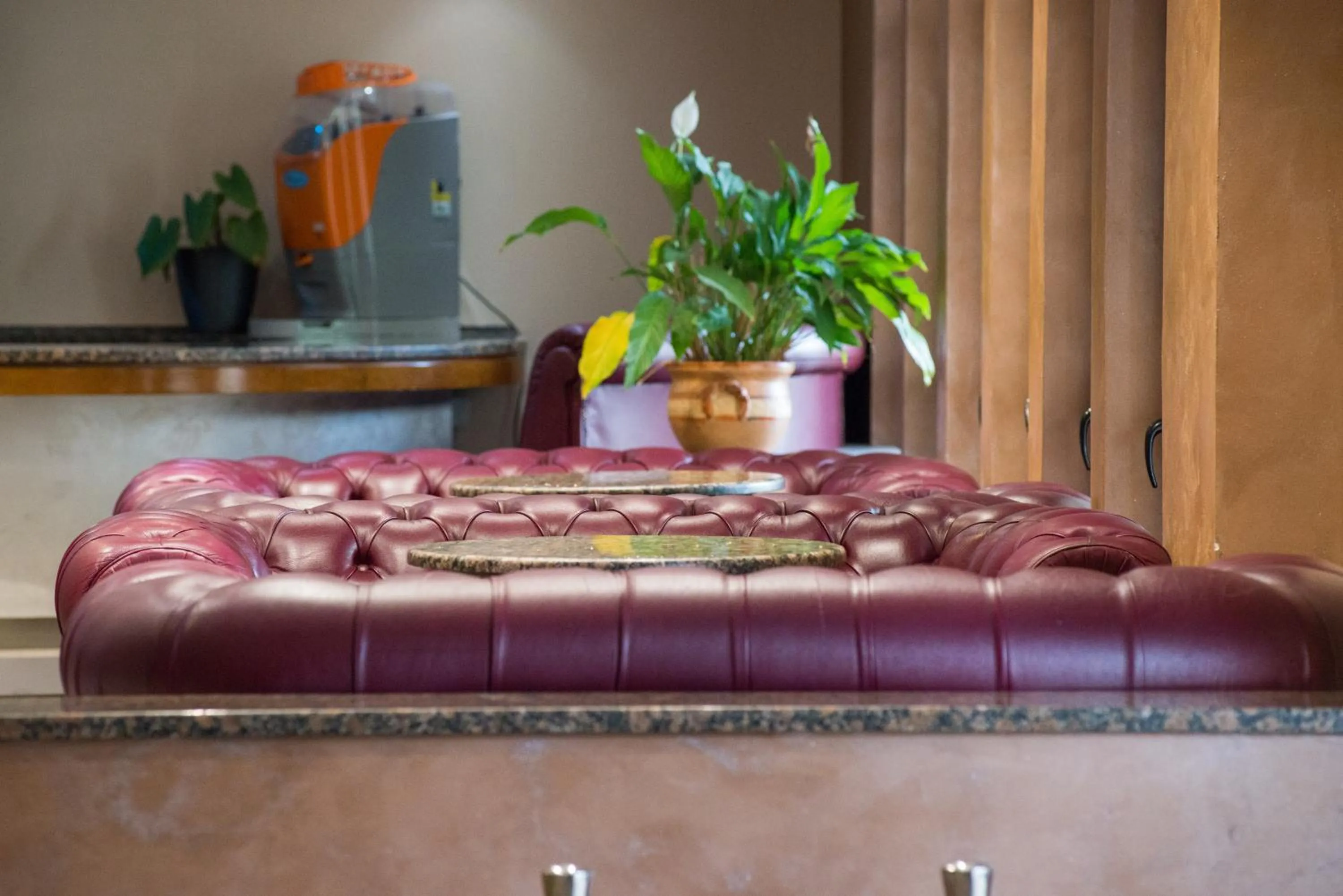 Lounge or bar in Hotel San Francesco