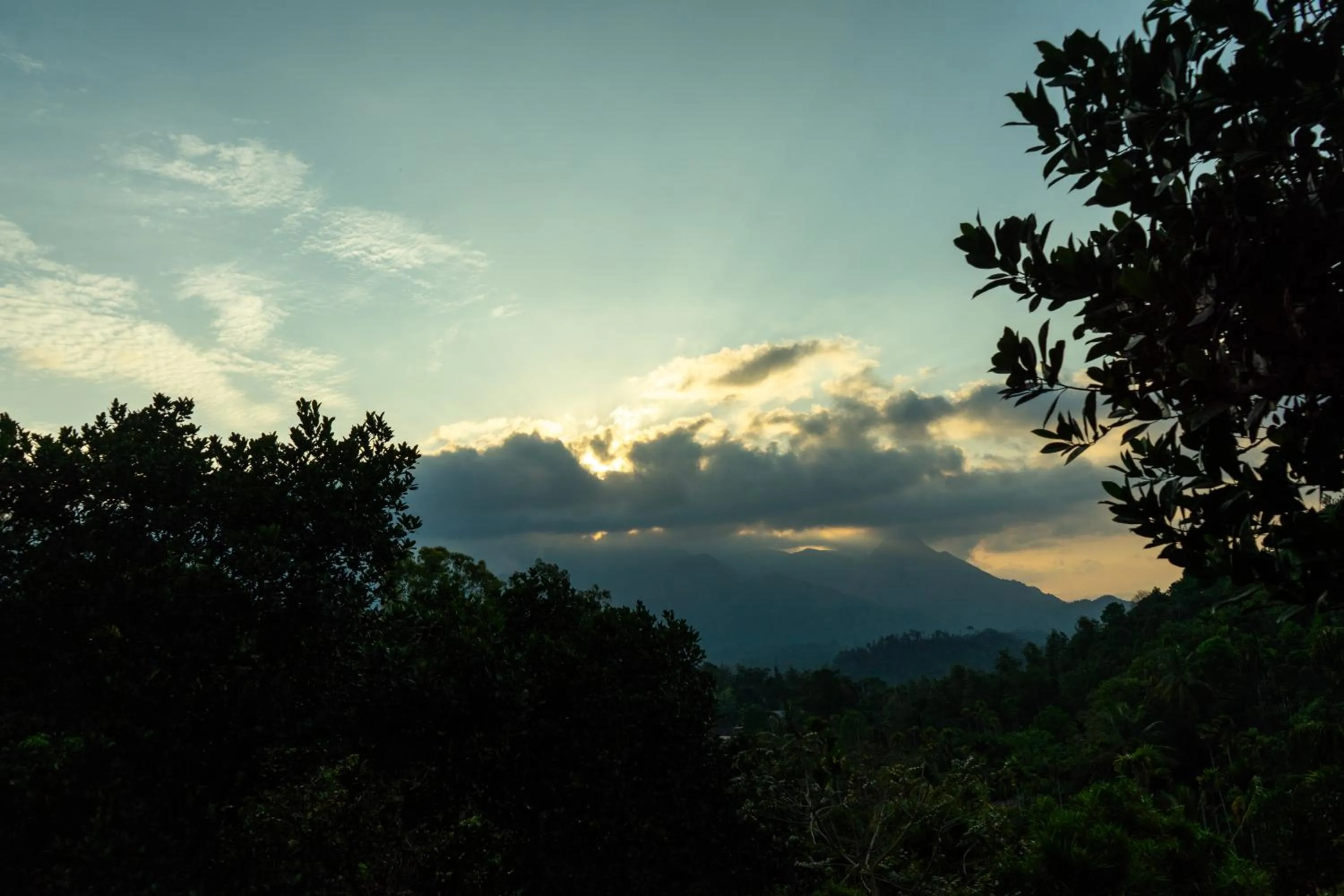 Day in Wayanad Ranches Resorts