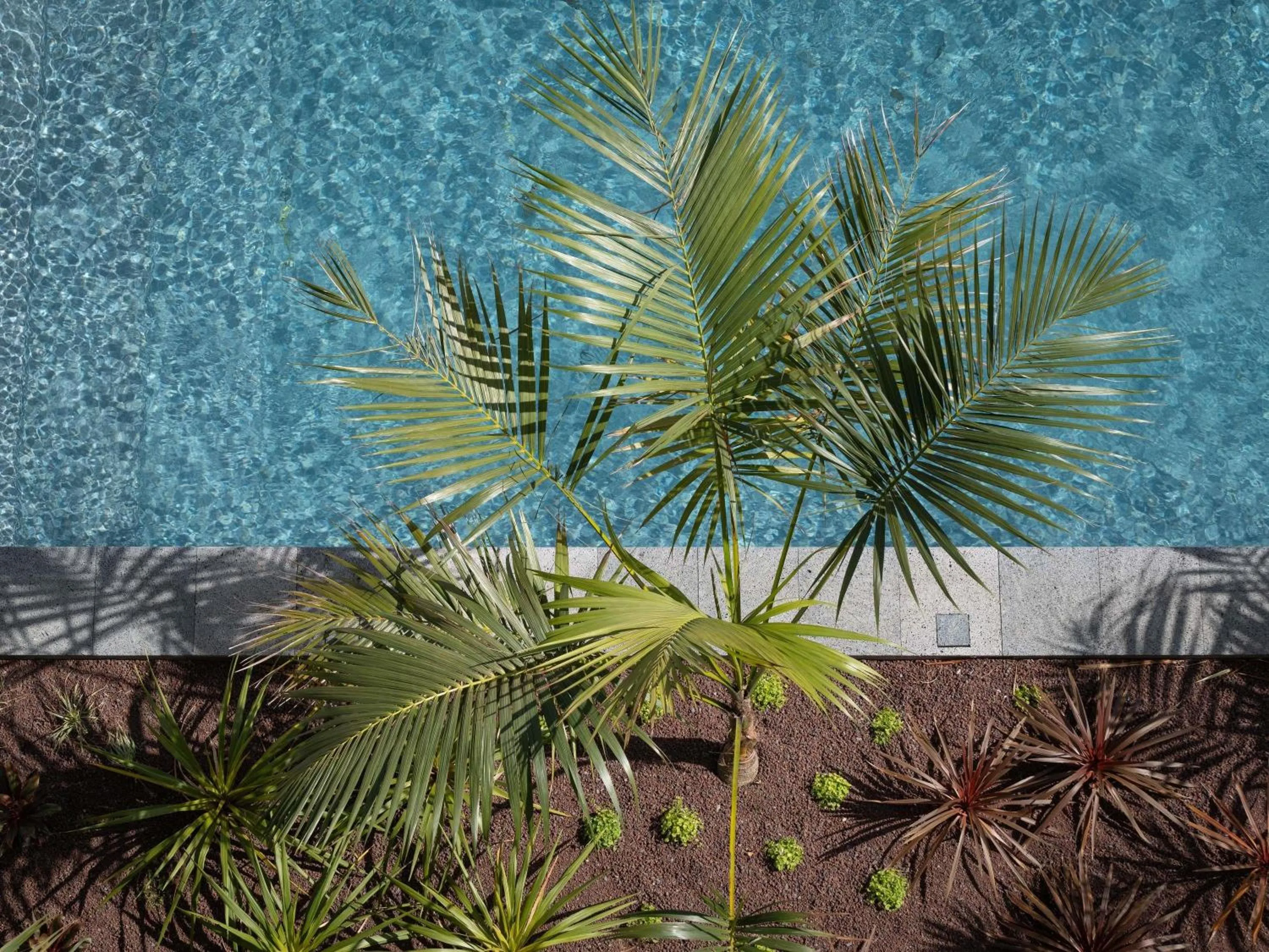 Other in Mercure Ponta Delgada Azores