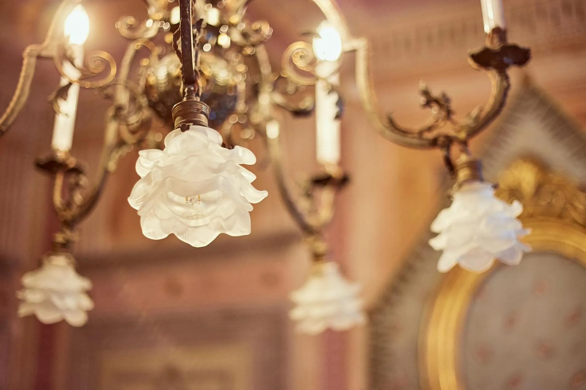 Decorative detail in Palazzo Nobile di San Donato - Historic Experience