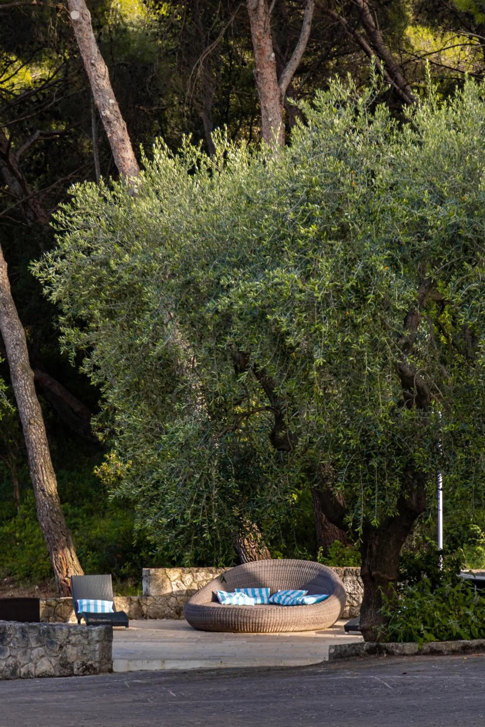 Garden in AH Premium Baia dei Faraglioni