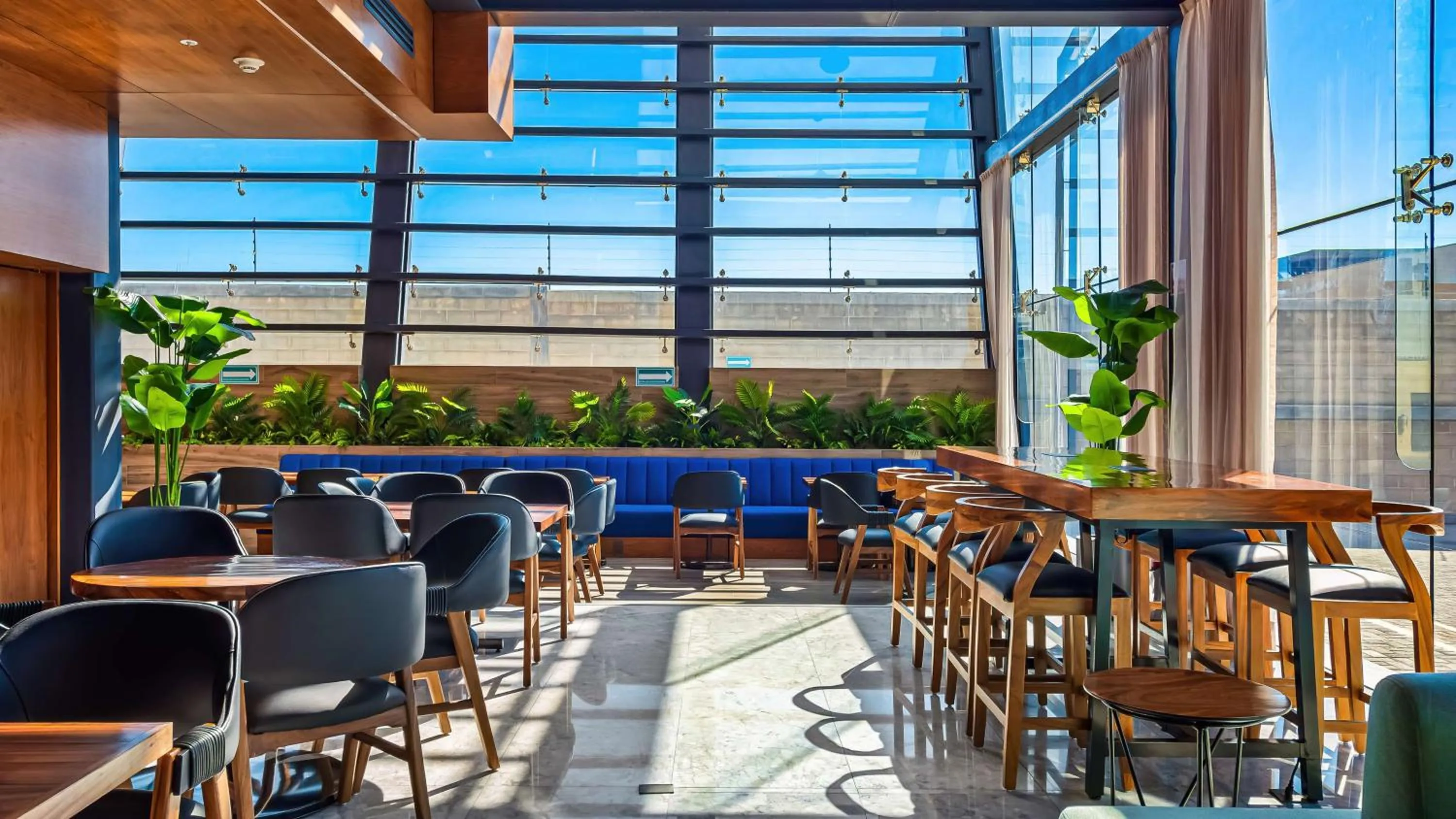 Lounge or bar in Hampton By Hilton Queretaro Juriquilla