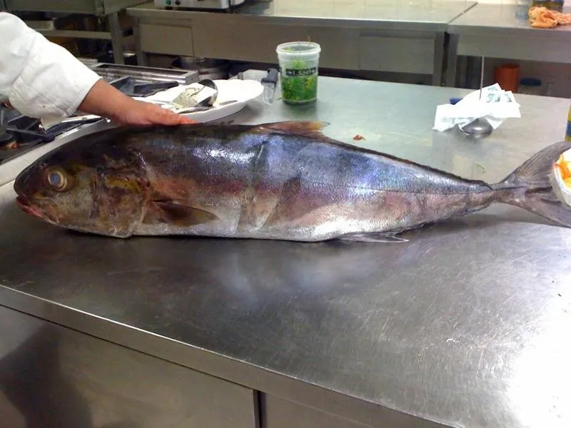 Food in Hotel Touring