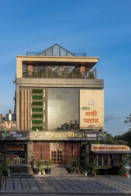 Hotel Money Plant