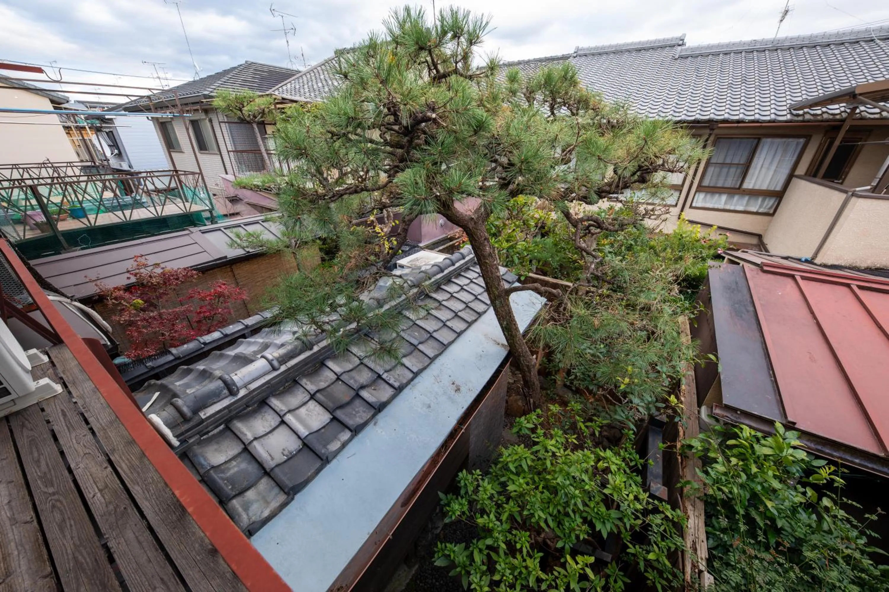 View (from property/room) in Nijo-Ouan