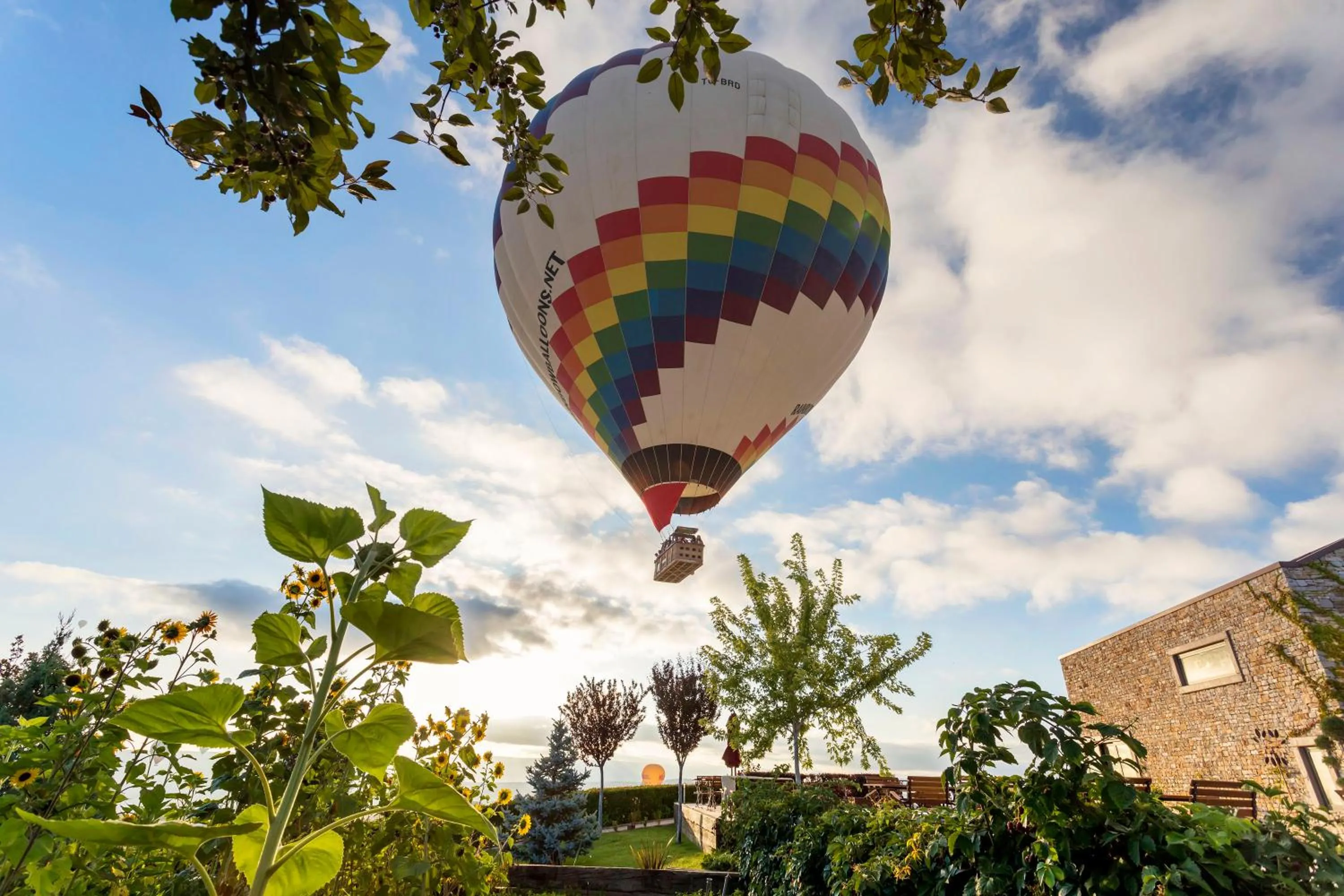 Activities in Ariana Sustainable Luxury Lodge - Special Category - Cappadocia
