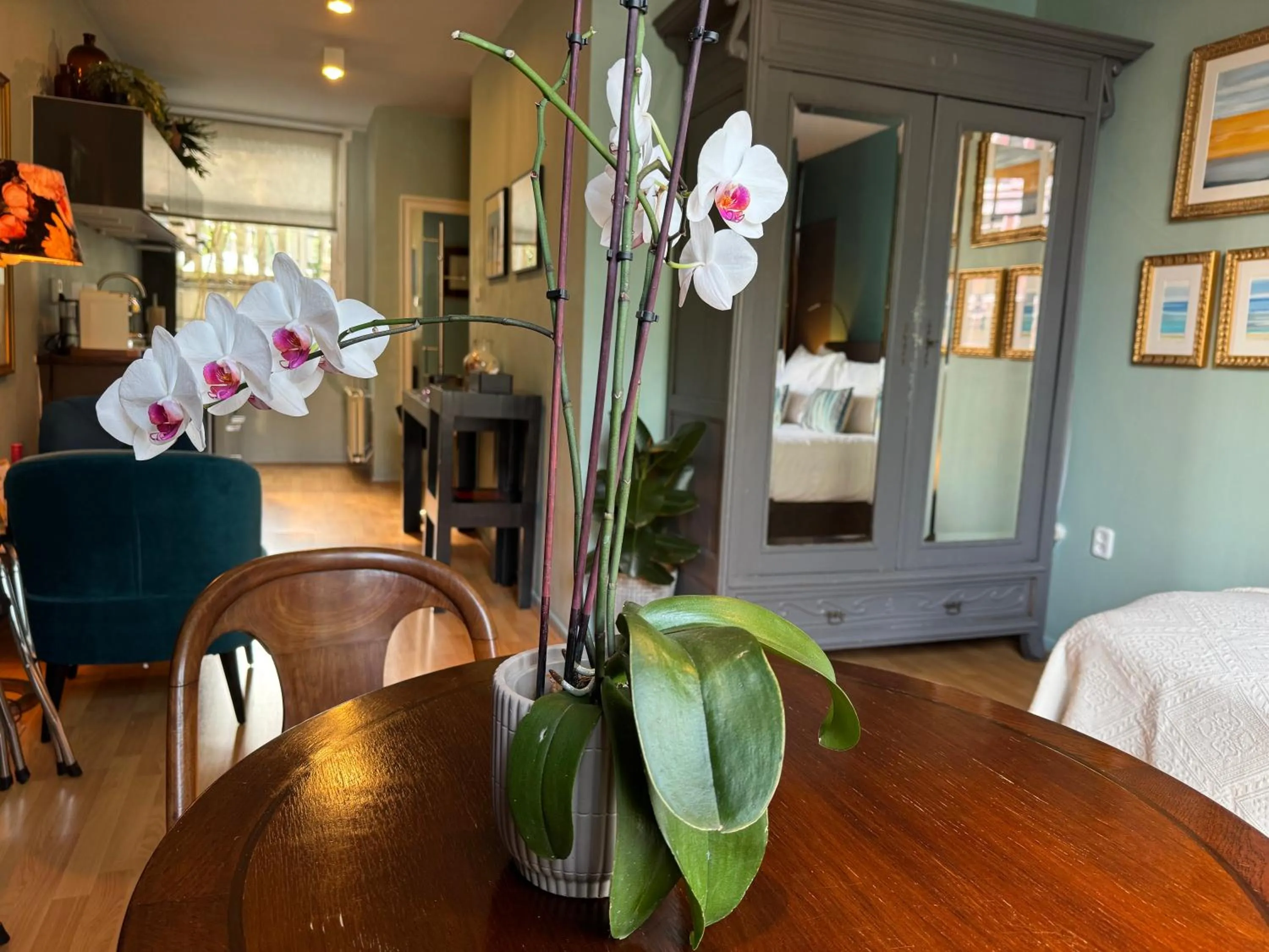 Dining area in Décor Canal House