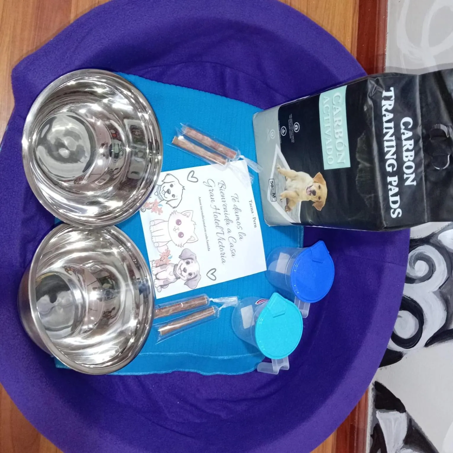 pet friendly in Gran Hotel Victoria