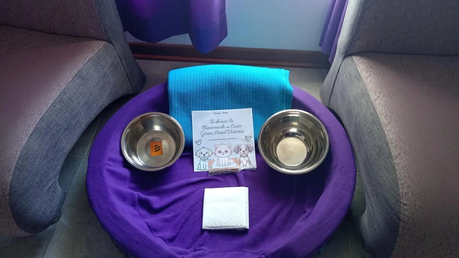 pet friendly in Gran Hotel Victoria