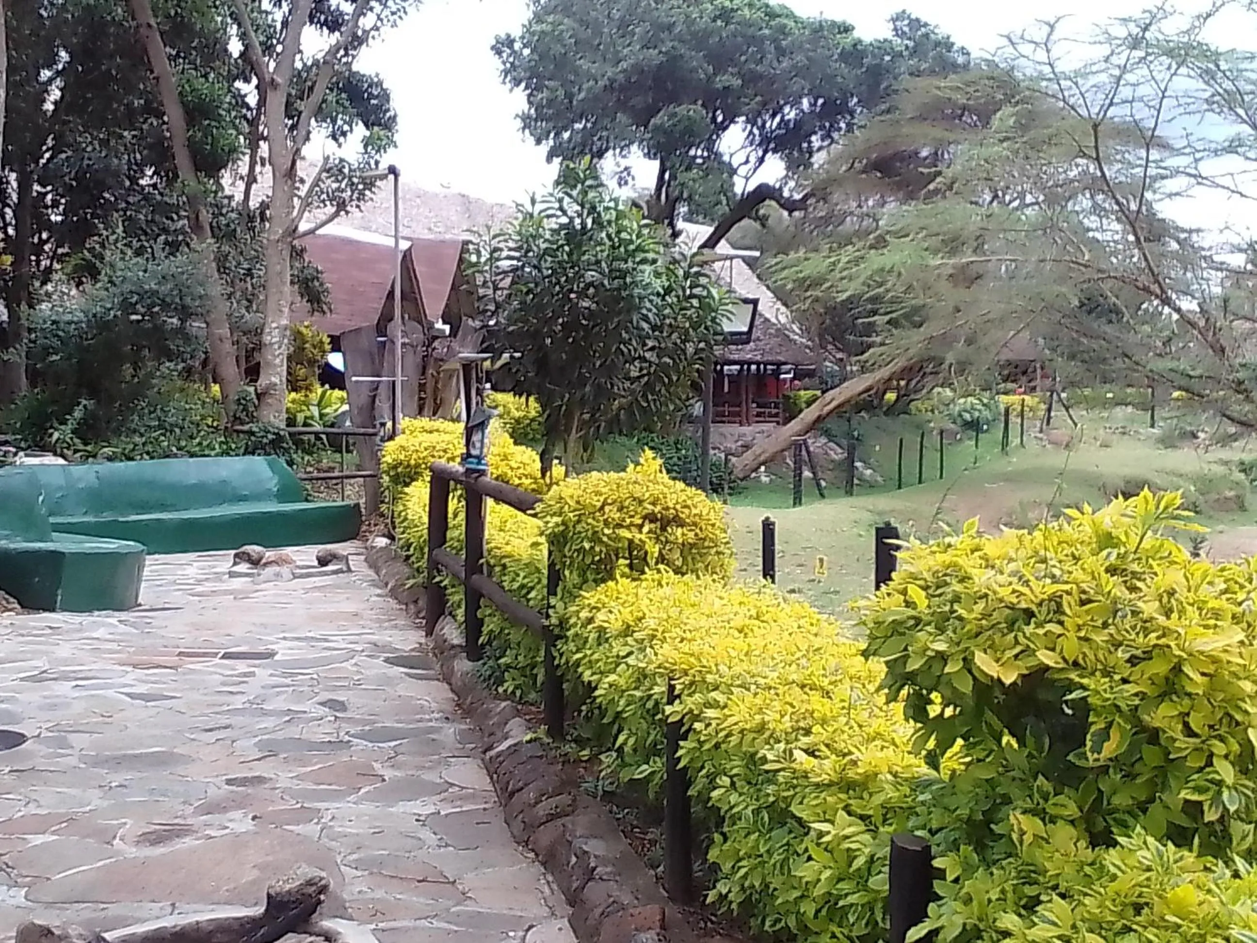 Property building in Mara River Lodge