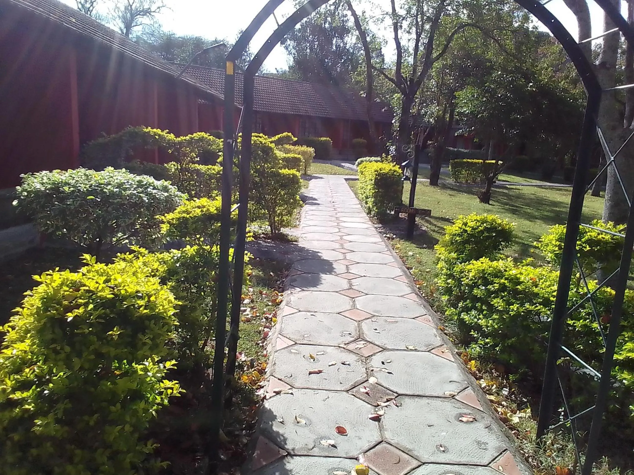 View (from property/room) in Mara River Lodge