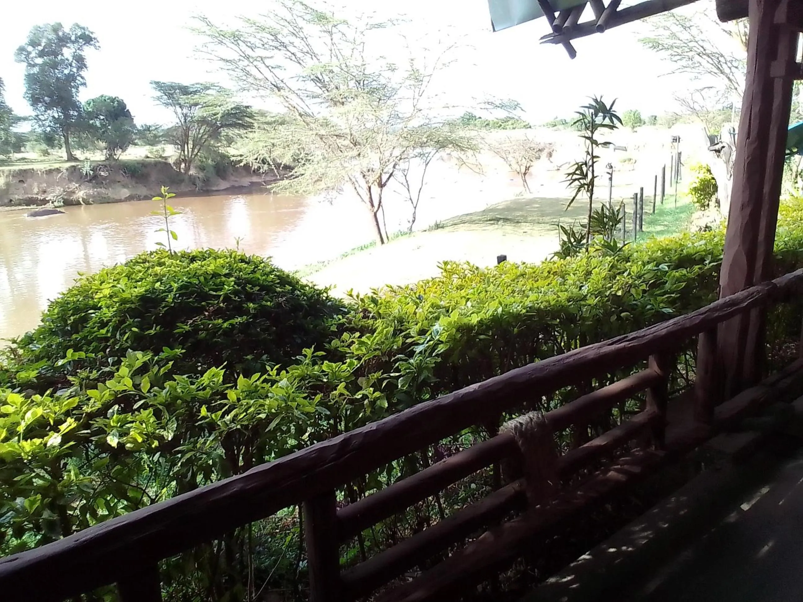 Restaurant/places to eat in Mara River Lodge