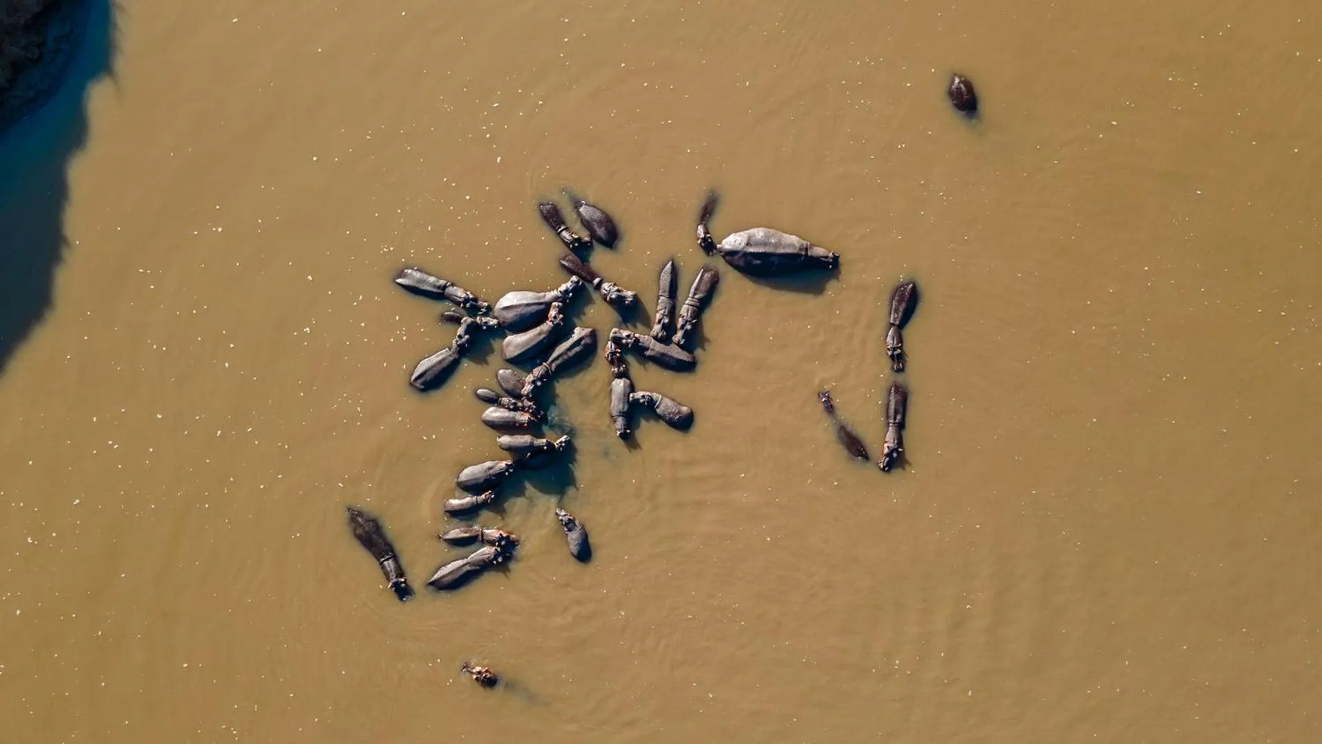 Muthu Mara River Lodge