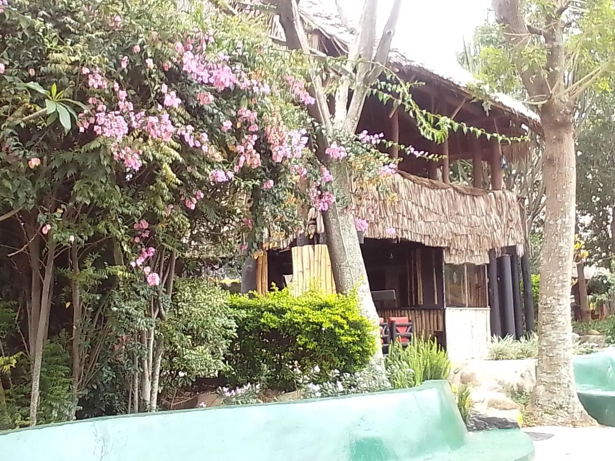 Property building in Mara River Lodge