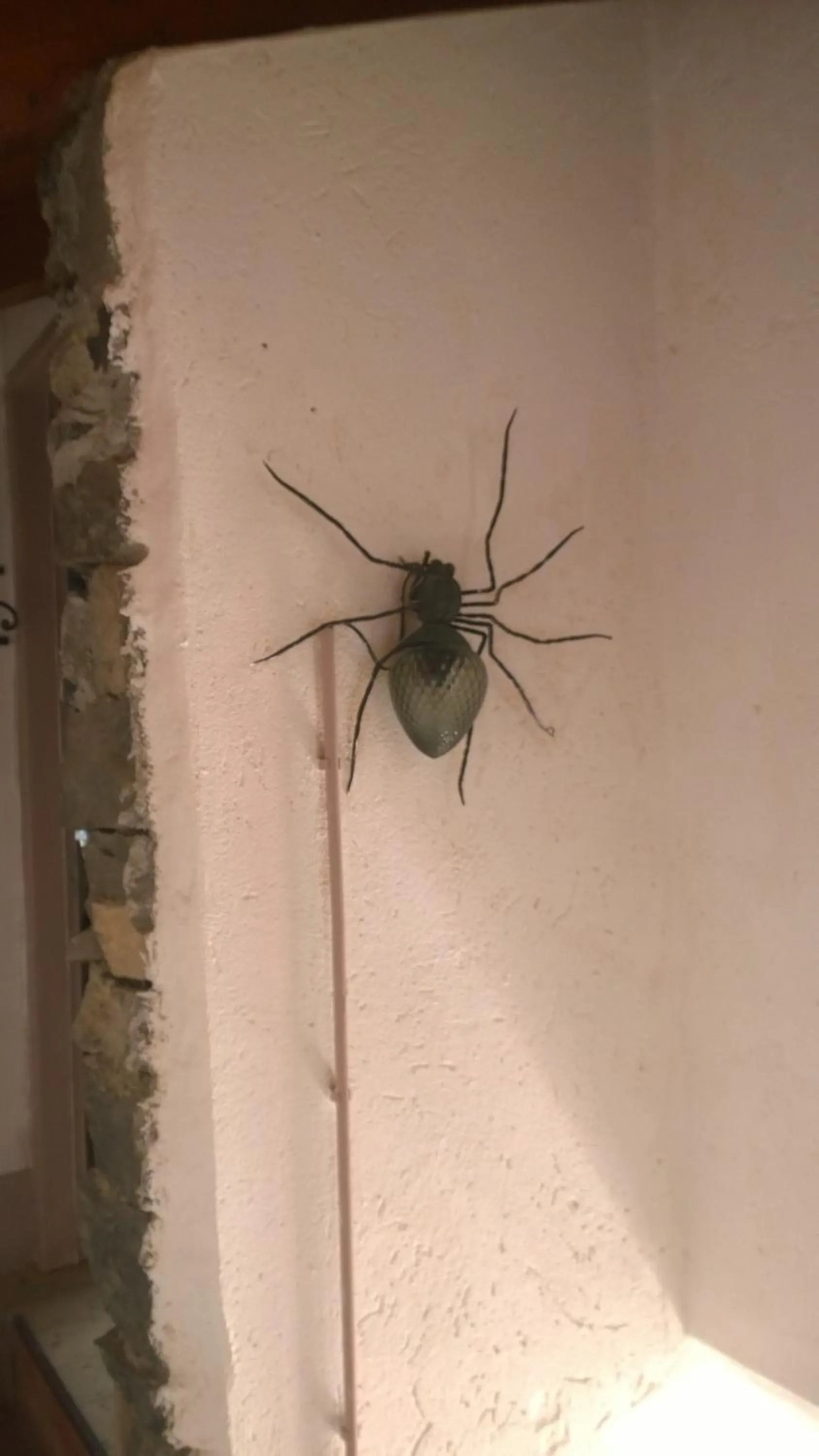 B&B "A Casa di Camilla"