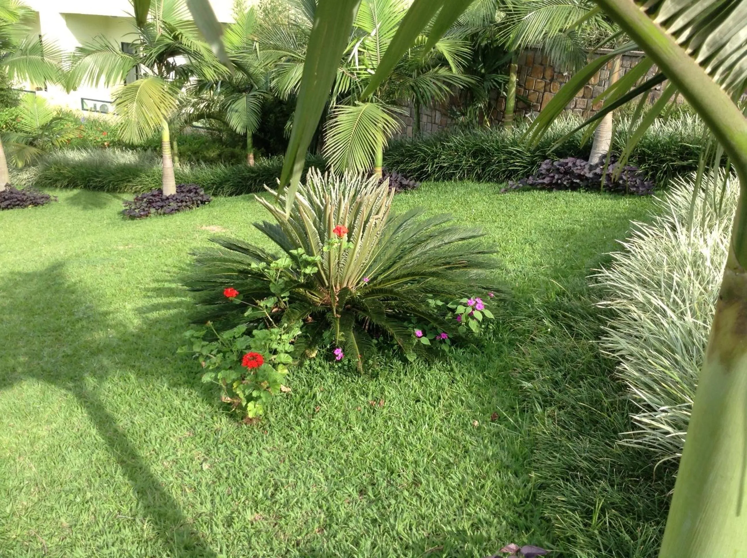 Garden in Gorillas Golf Hotel