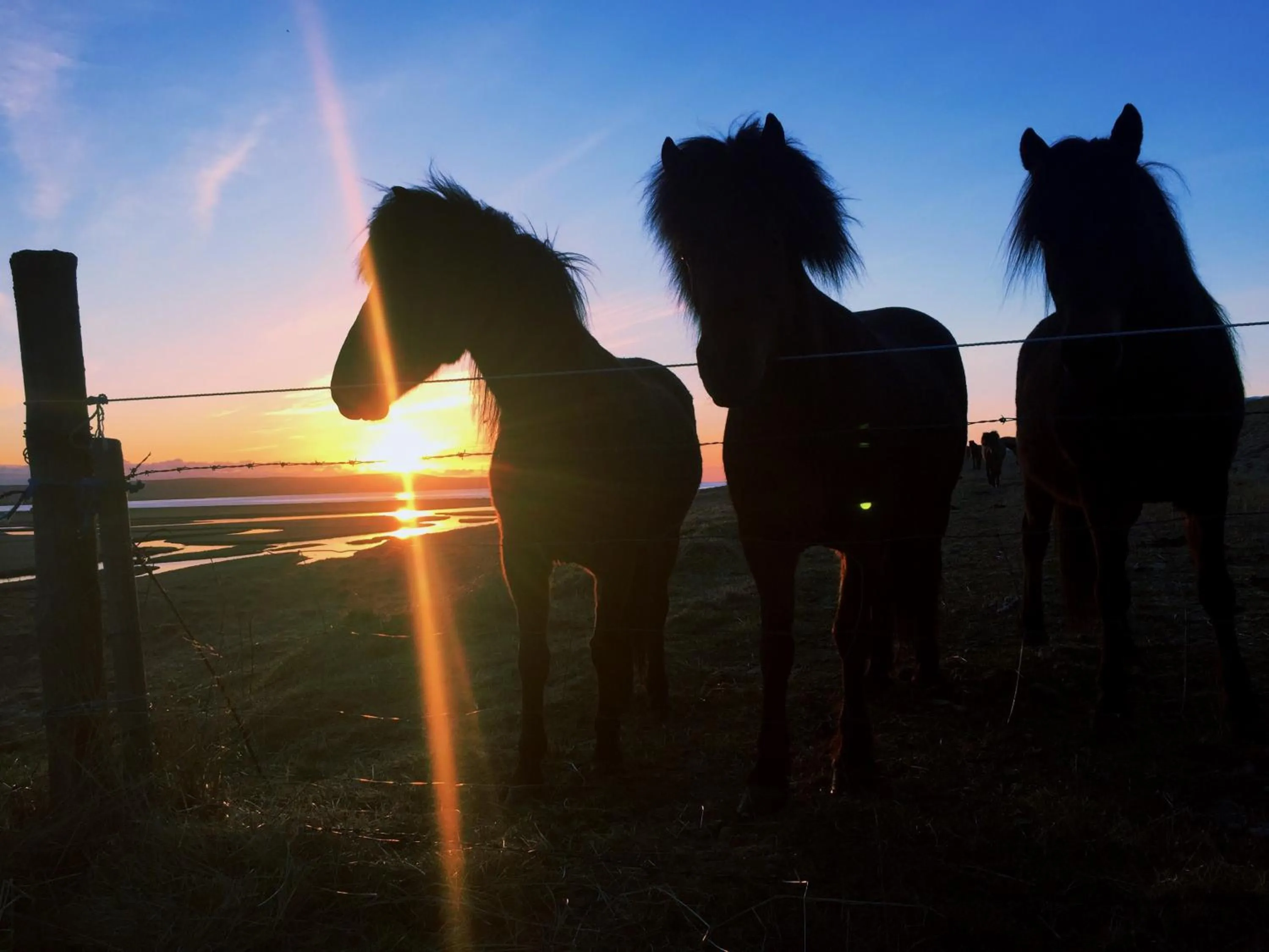 Neighbourhood in North West Restaurant & Guesthouse