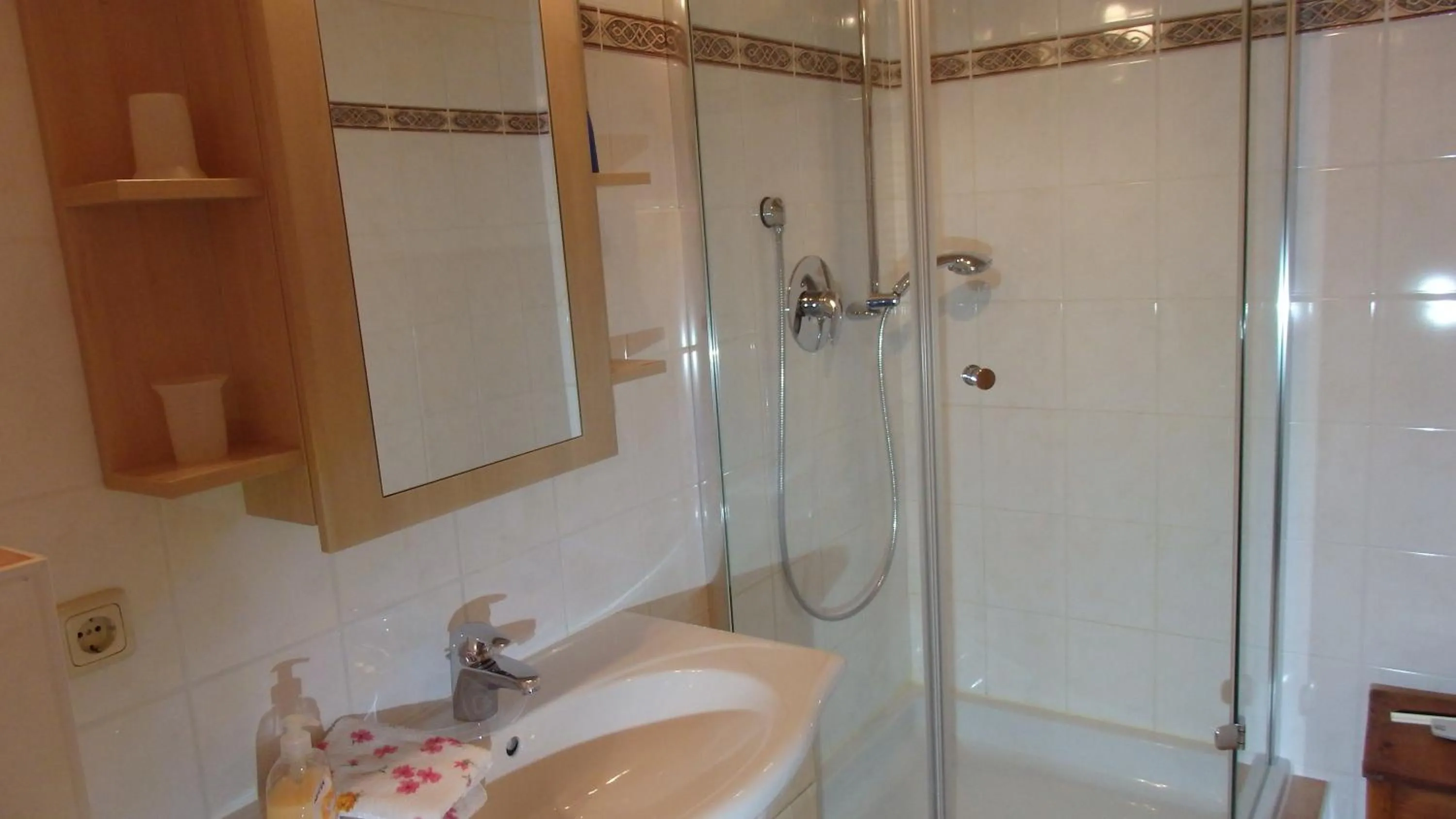 Shower in Apartment Rothenlehen
