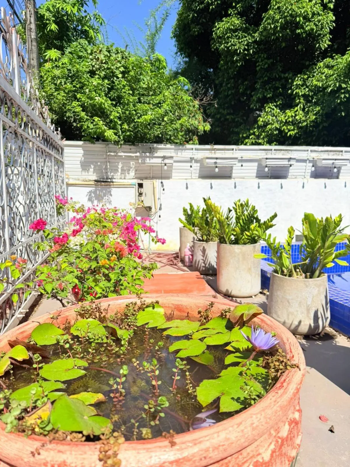 Vientiane Ruby Villa Hotel
