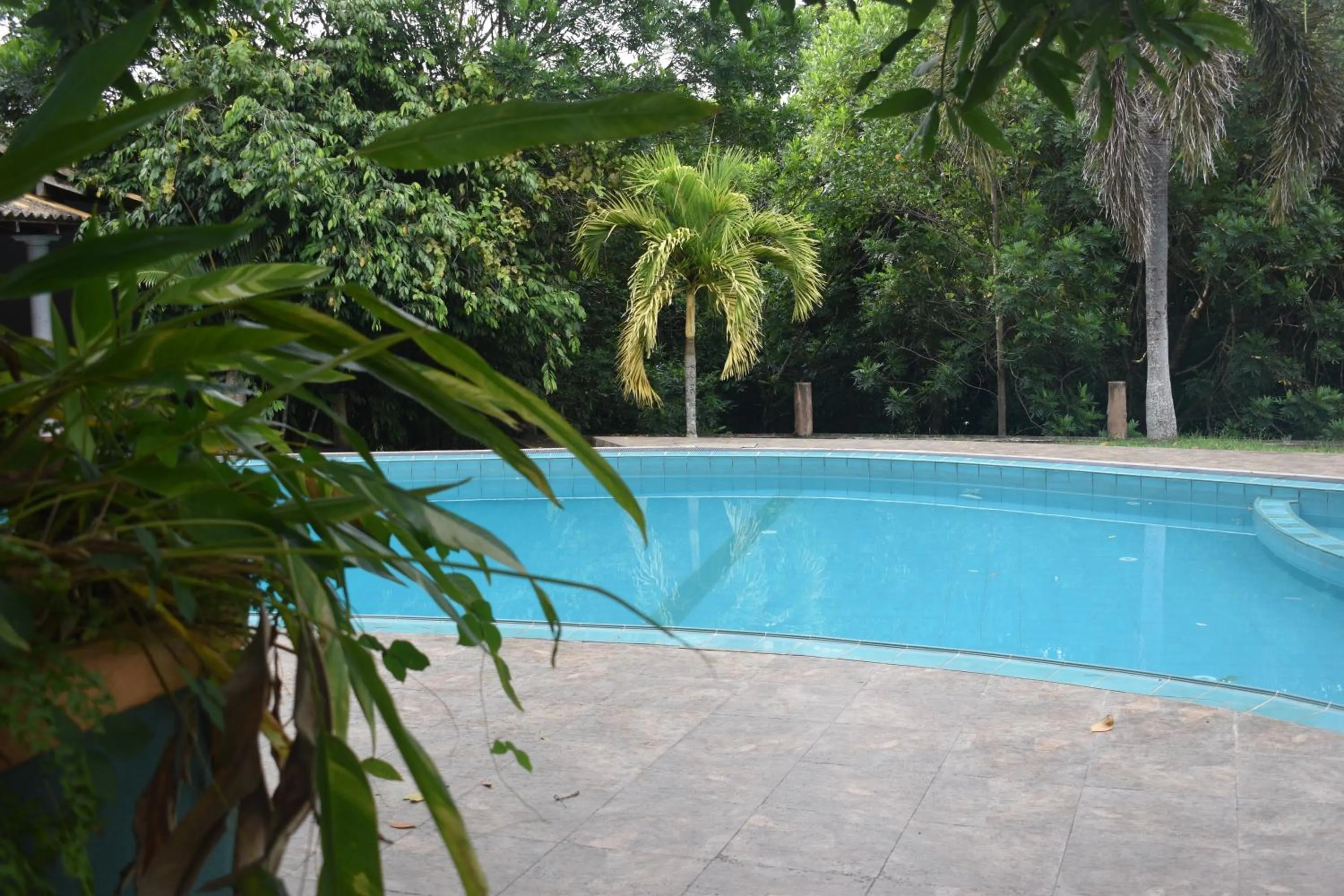 Shiny Lakeside Resort