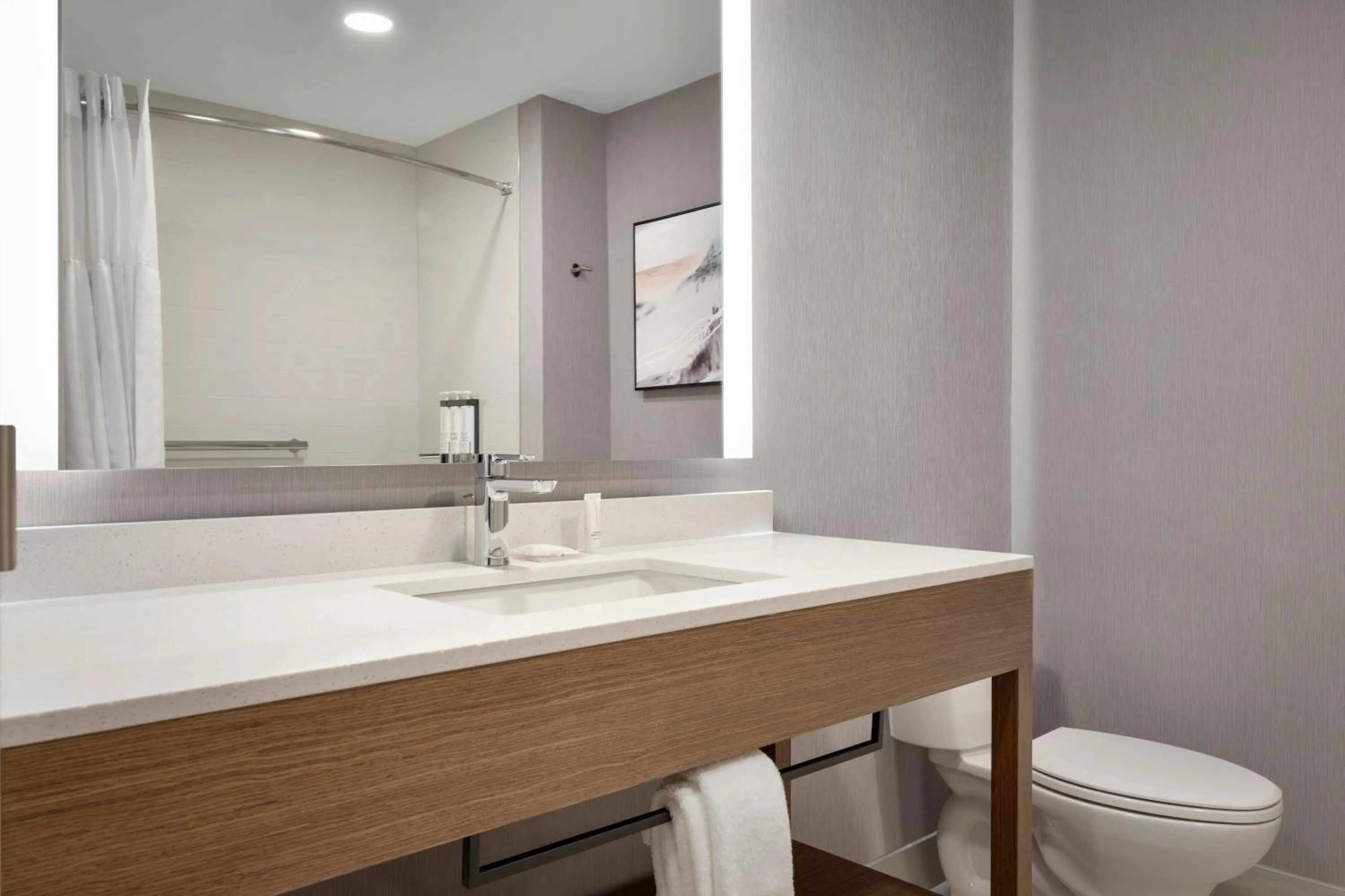 Toilet in Hyatt Place Windsor