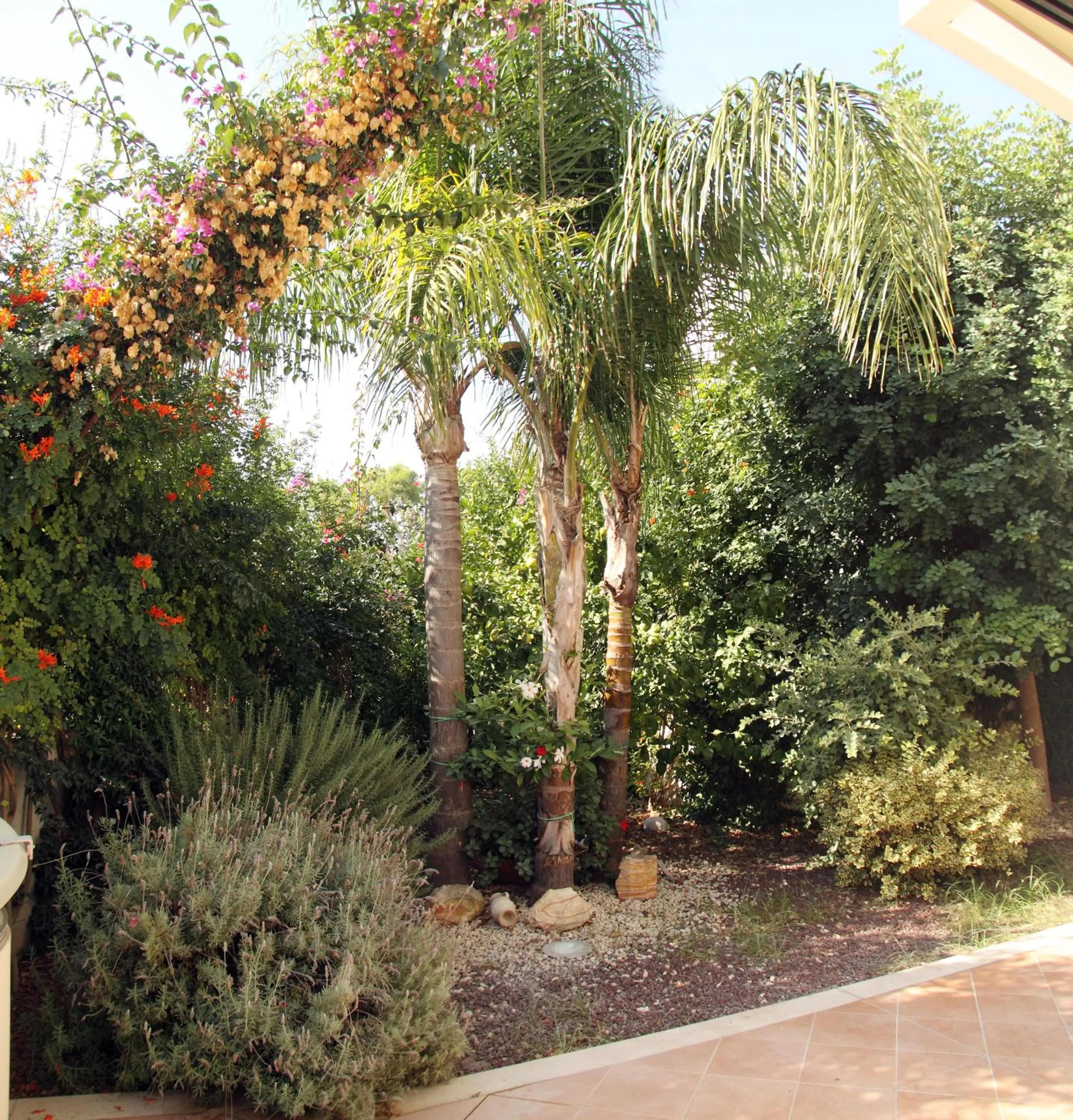 Garden in B&B Villa il Sughero