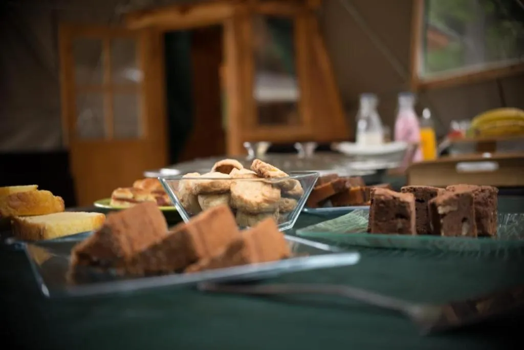 Buffet breakfast in Patagonia Eco Domes