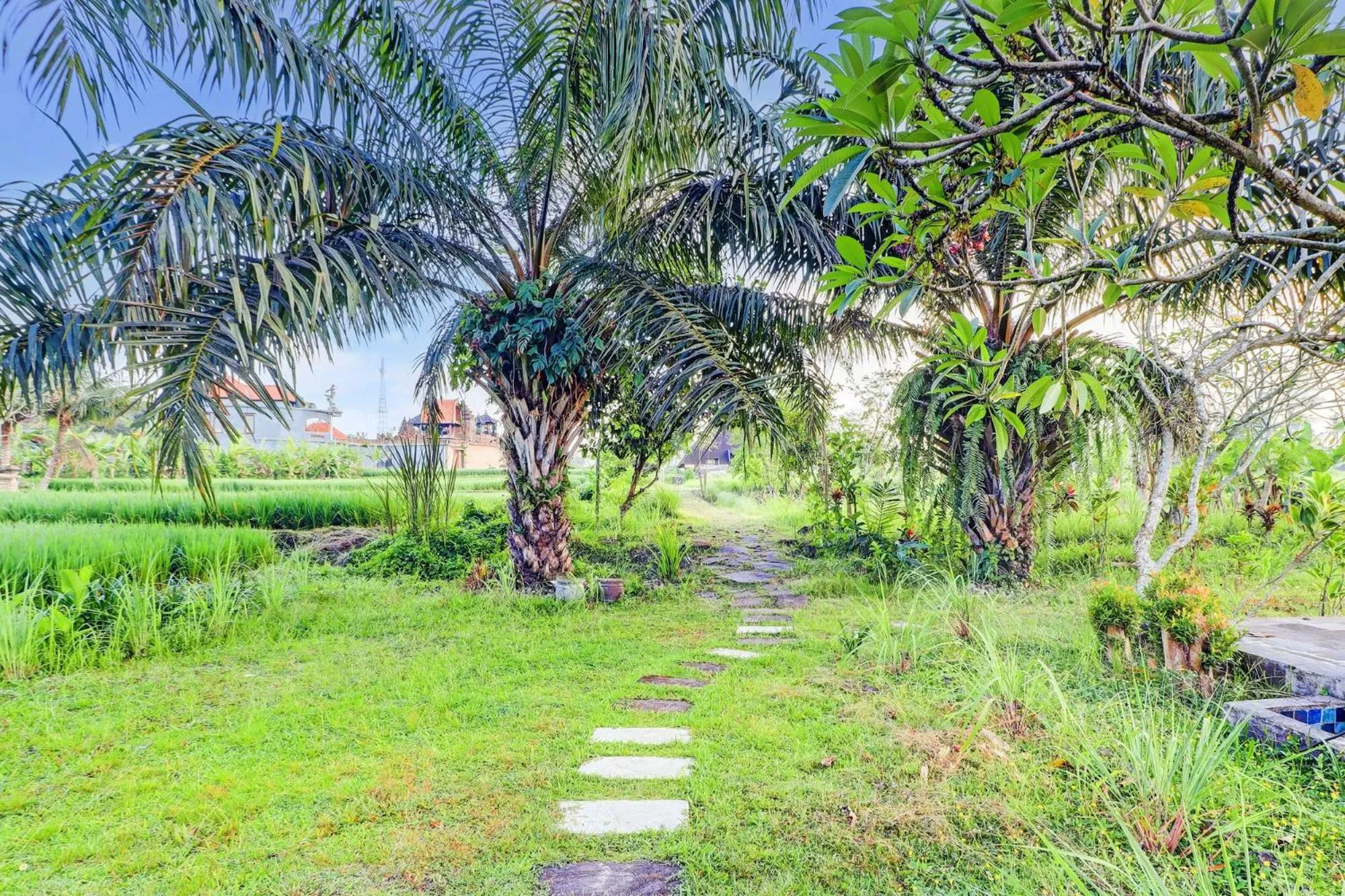 Garden in Collection O Ubud Near Central Ubud Formerly Hotel Suly