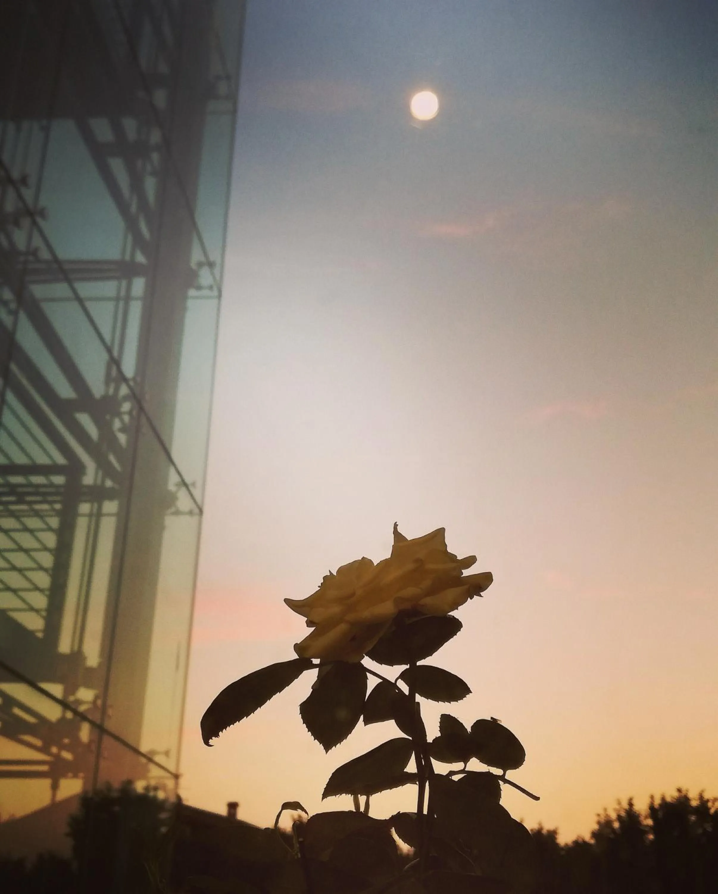 Summer in Hotel Medea