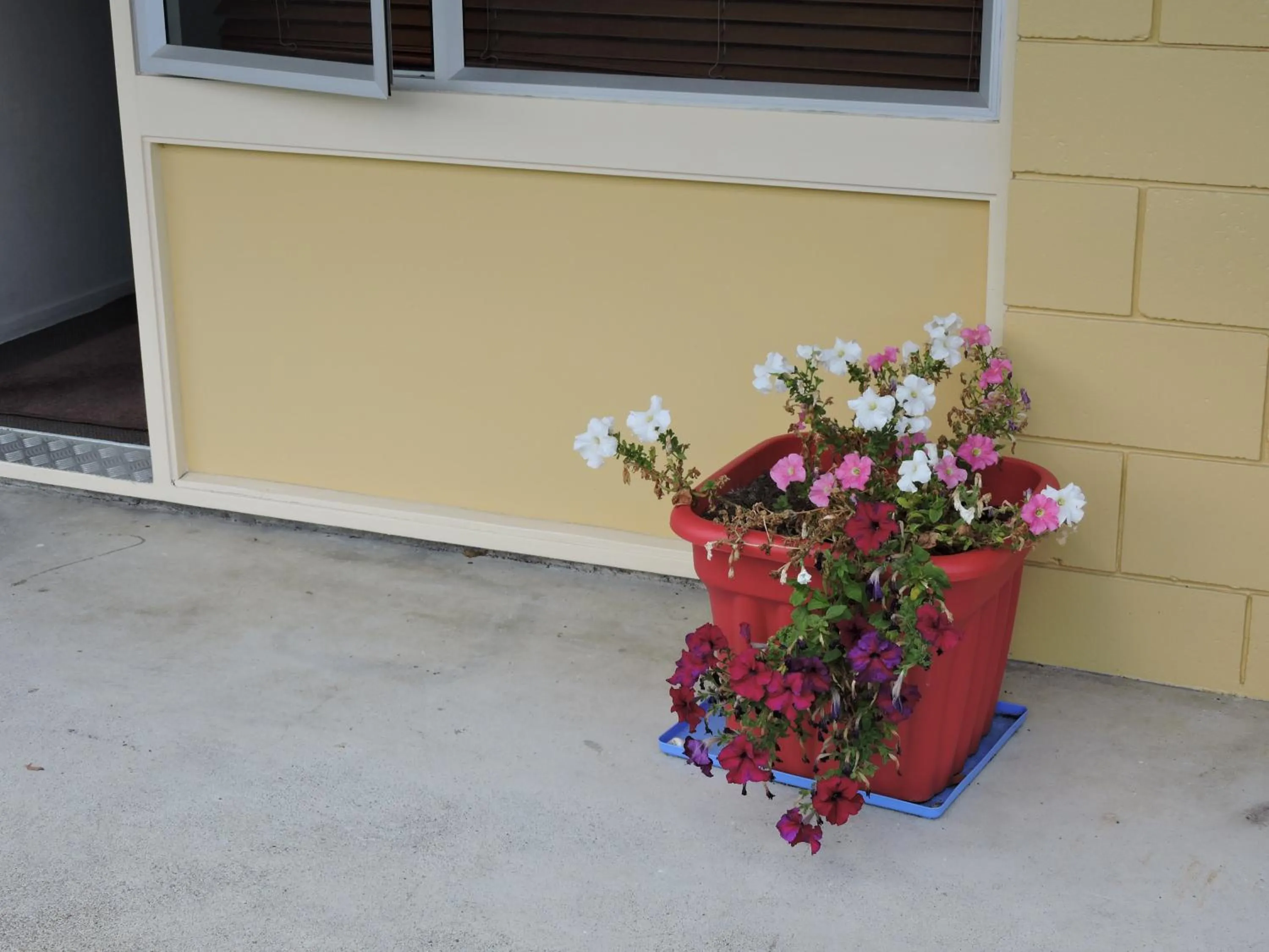 Day in Maple Lodge Motel