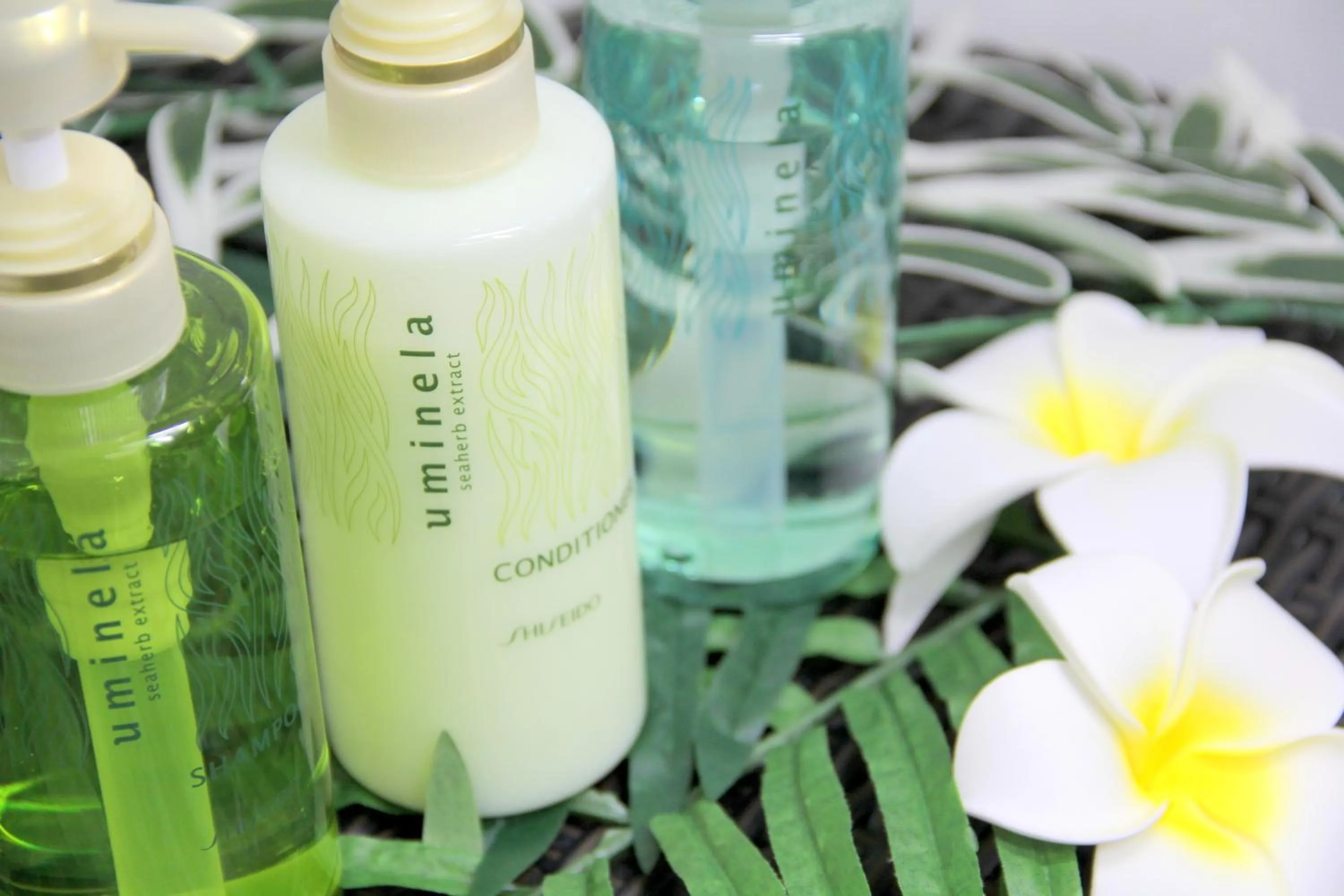 Other in Hotel Risingsun Miyakojima