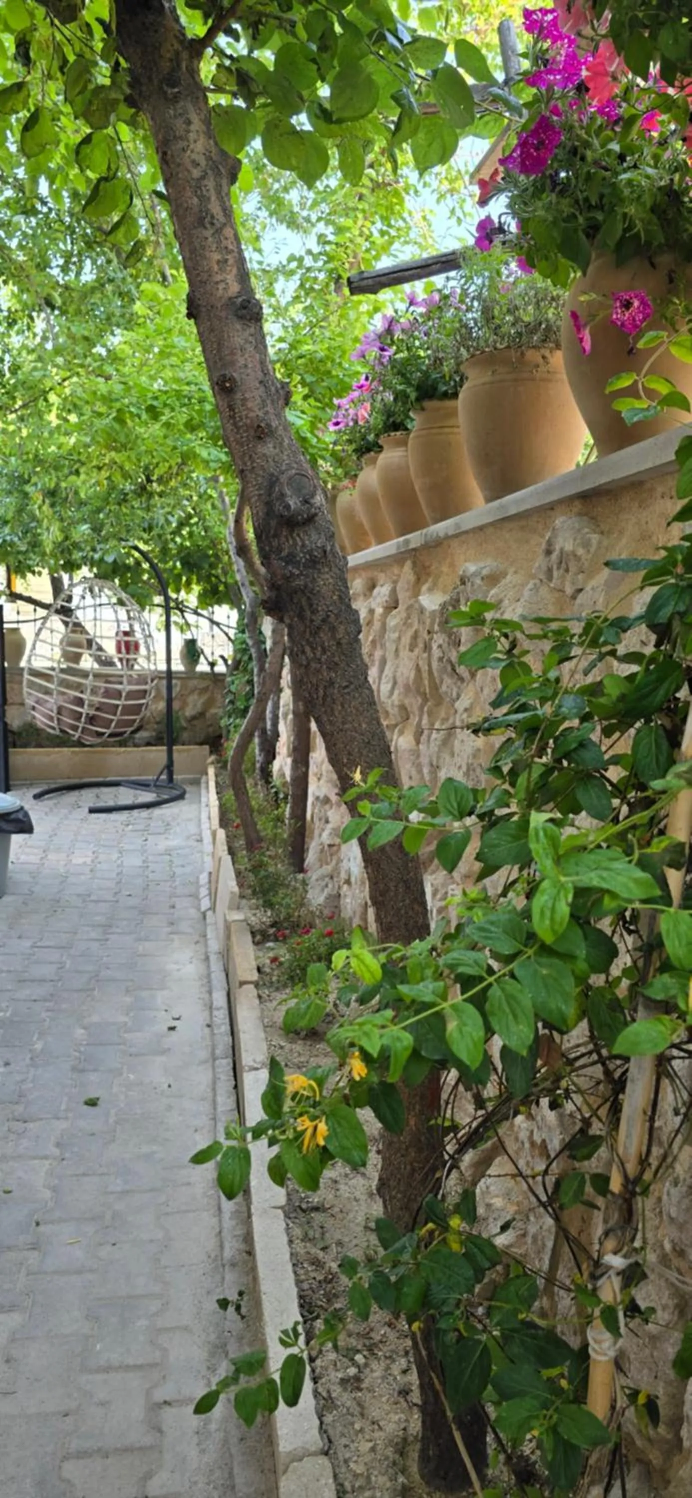 Garden in Cappadocia Divin House