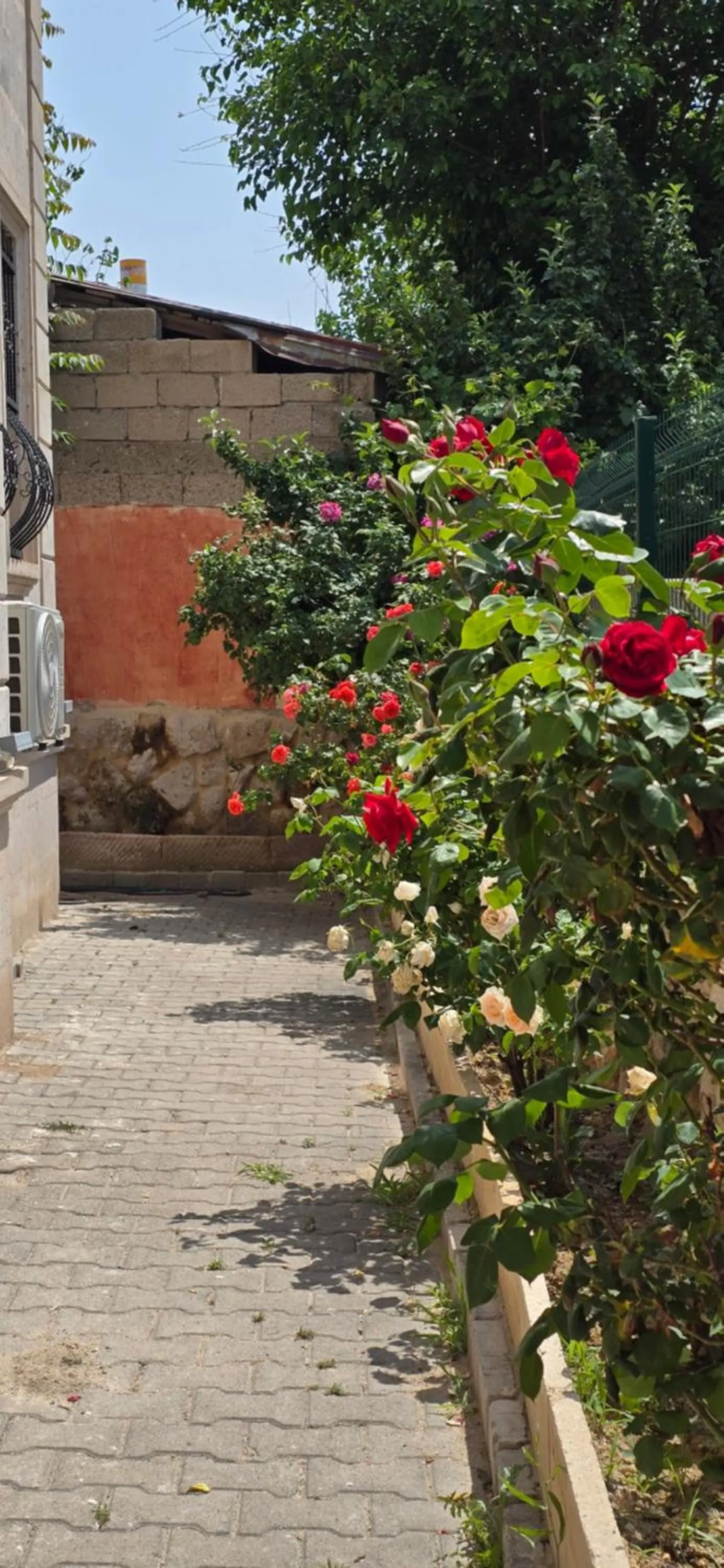 Garden in Cappadocia Divin House