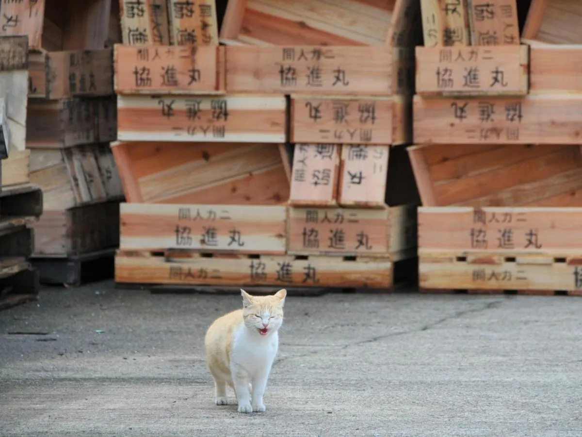 Off site in Shorenkan Yoshinoya