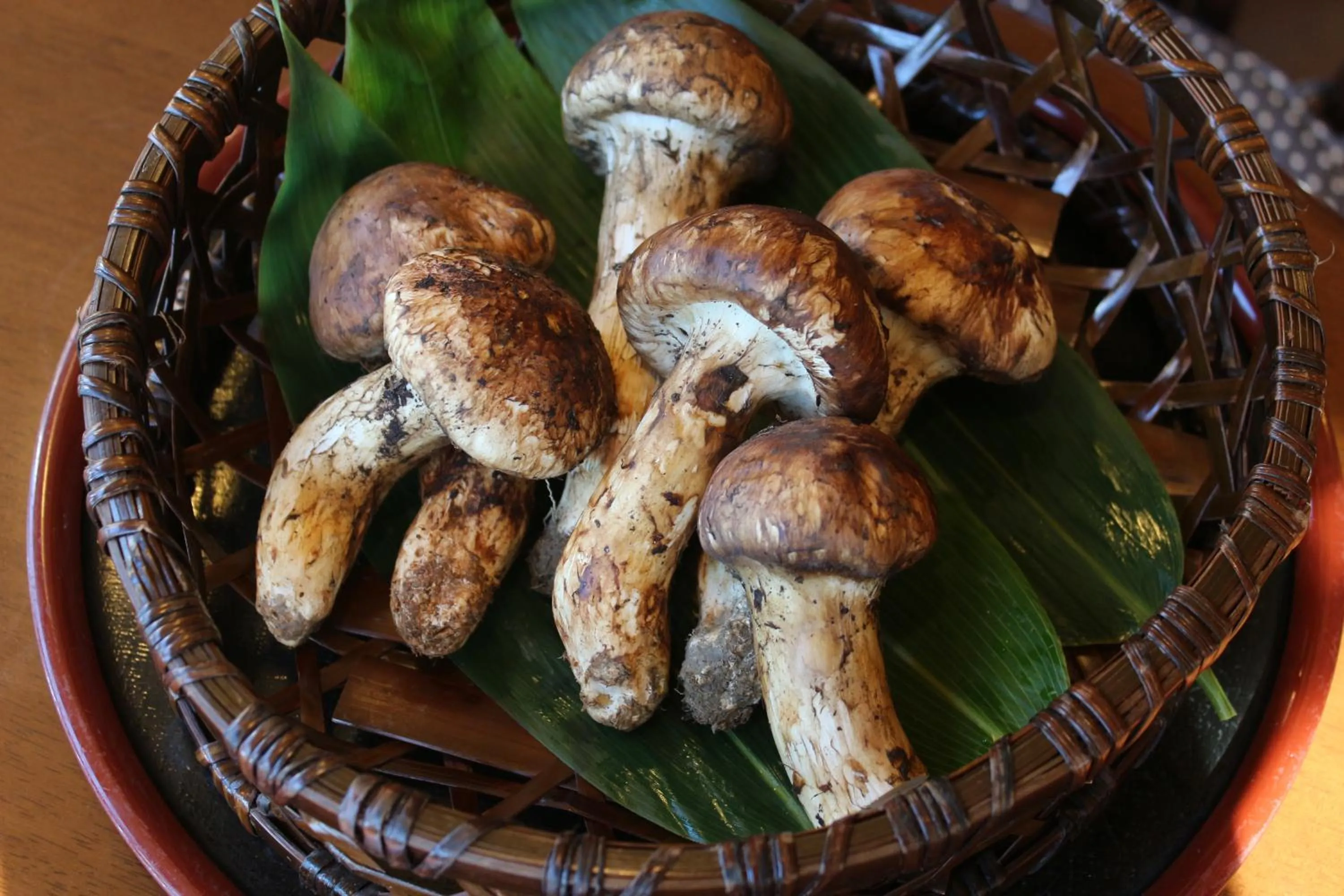 Food close-up in Shorenkan Yoshinoya