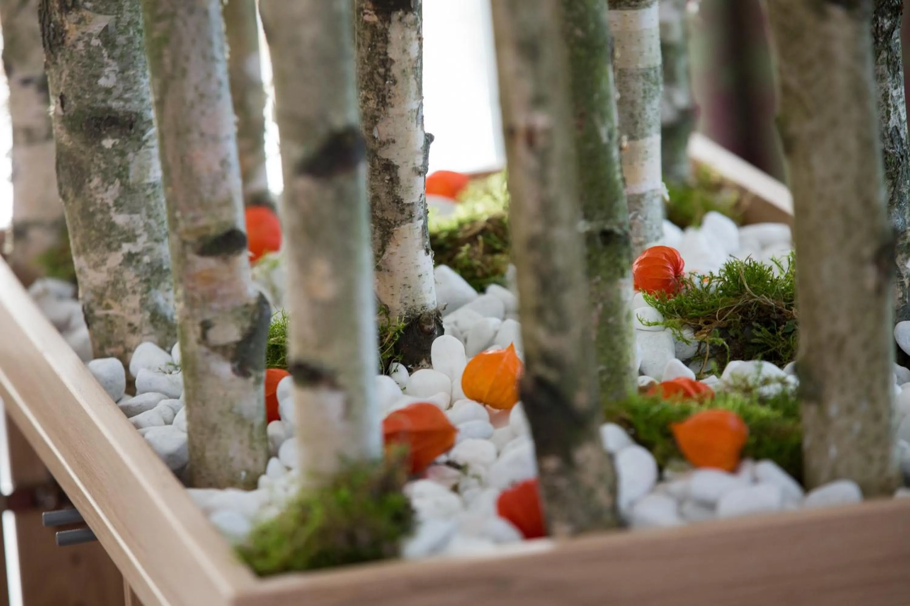 Decorative detail in Hotel Bauer garni