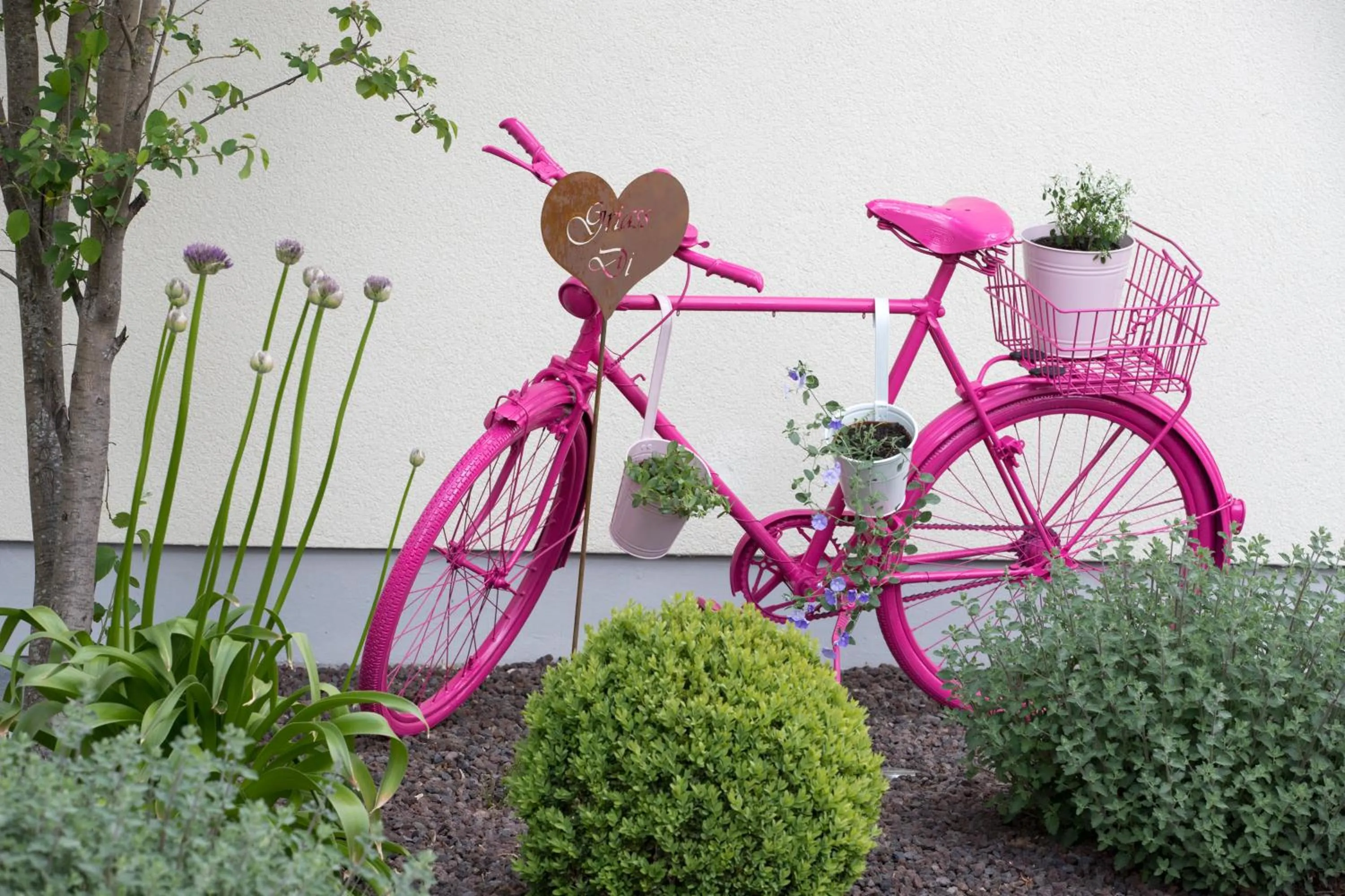 Cycling in Hotel Bauer garni