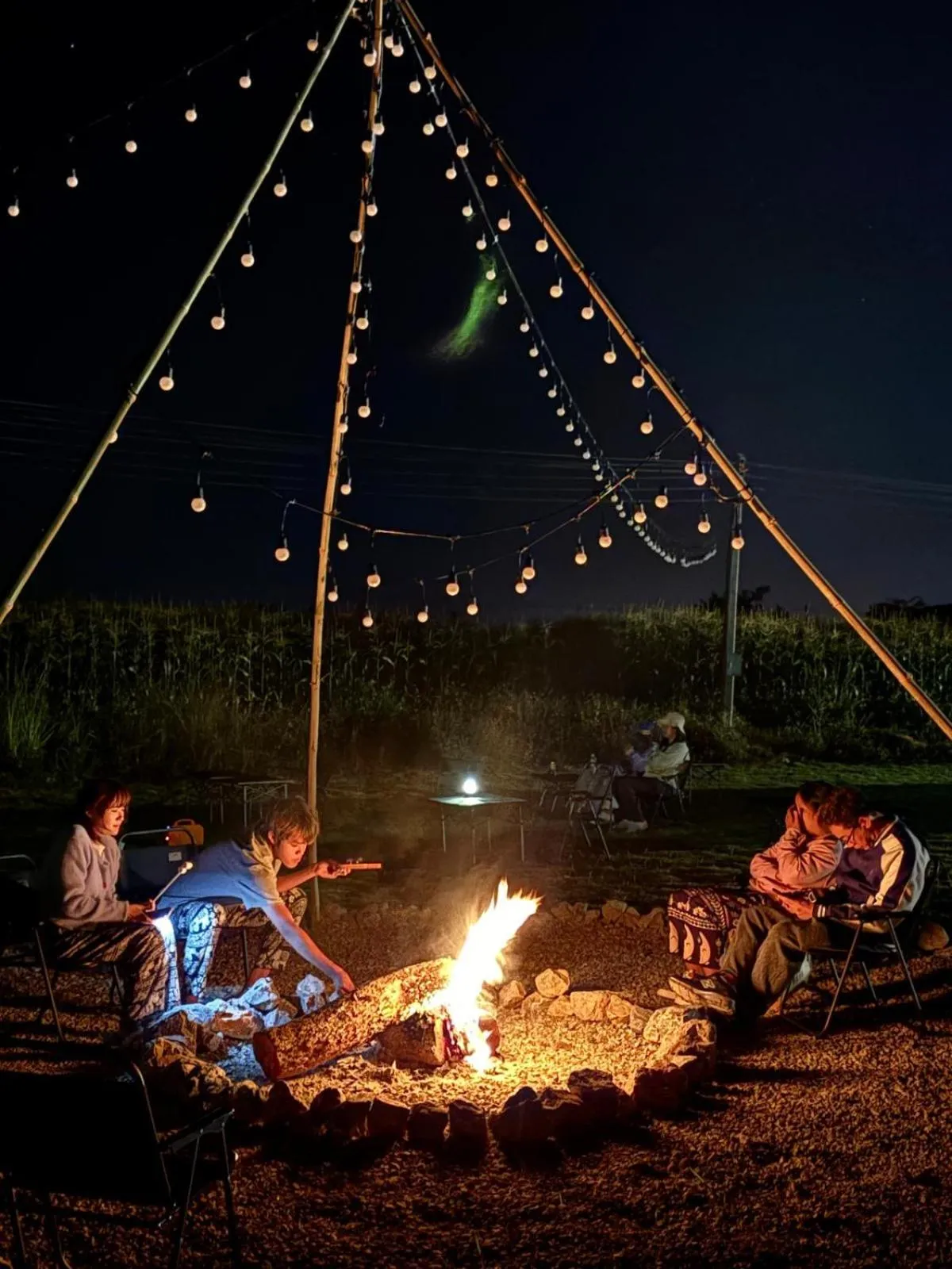 Night in Paradise Resort & Cafe