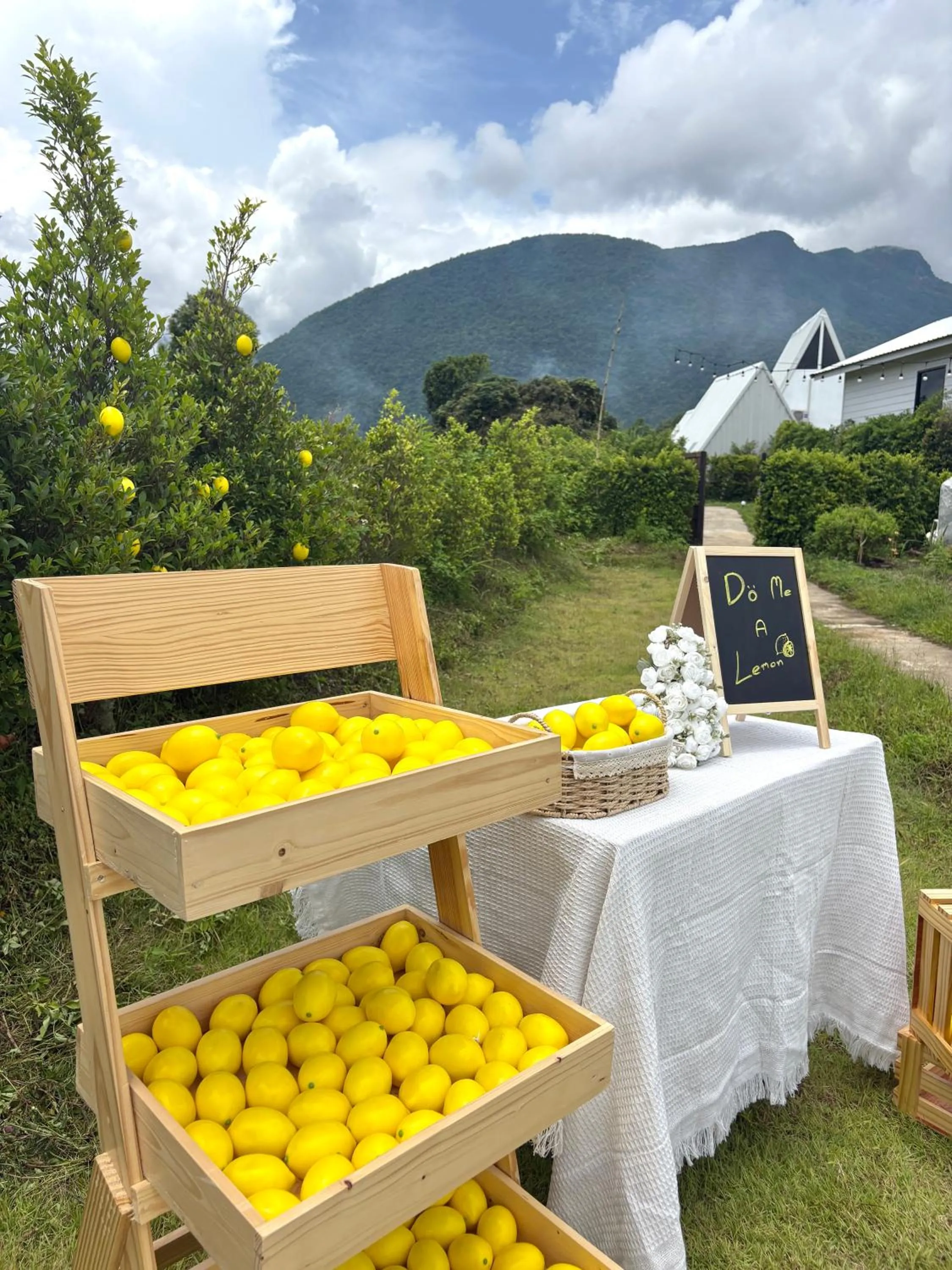 Mountain view in Paradise Resort & Cafe