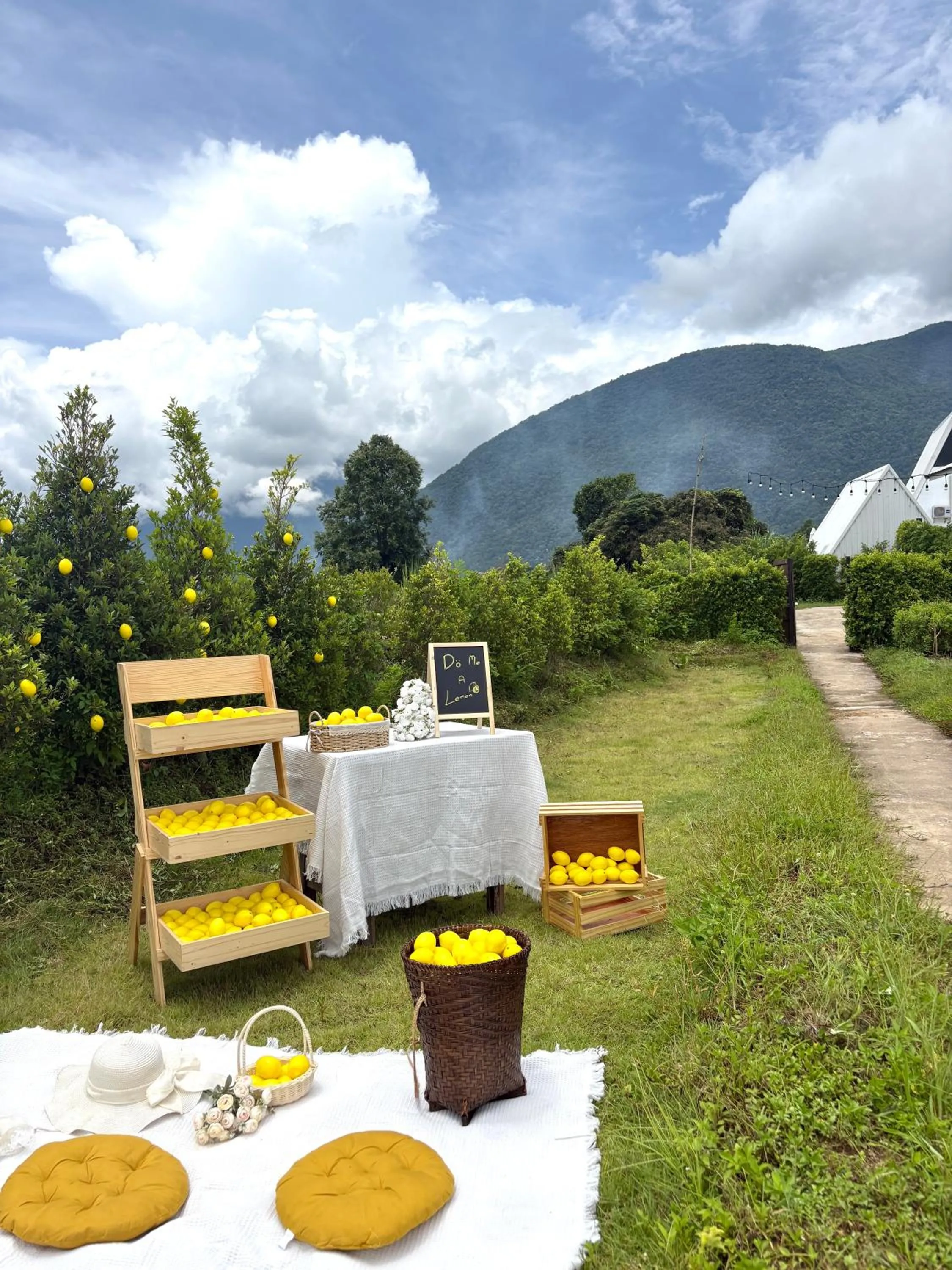 Mountain view in Paradise Resort & Cafe