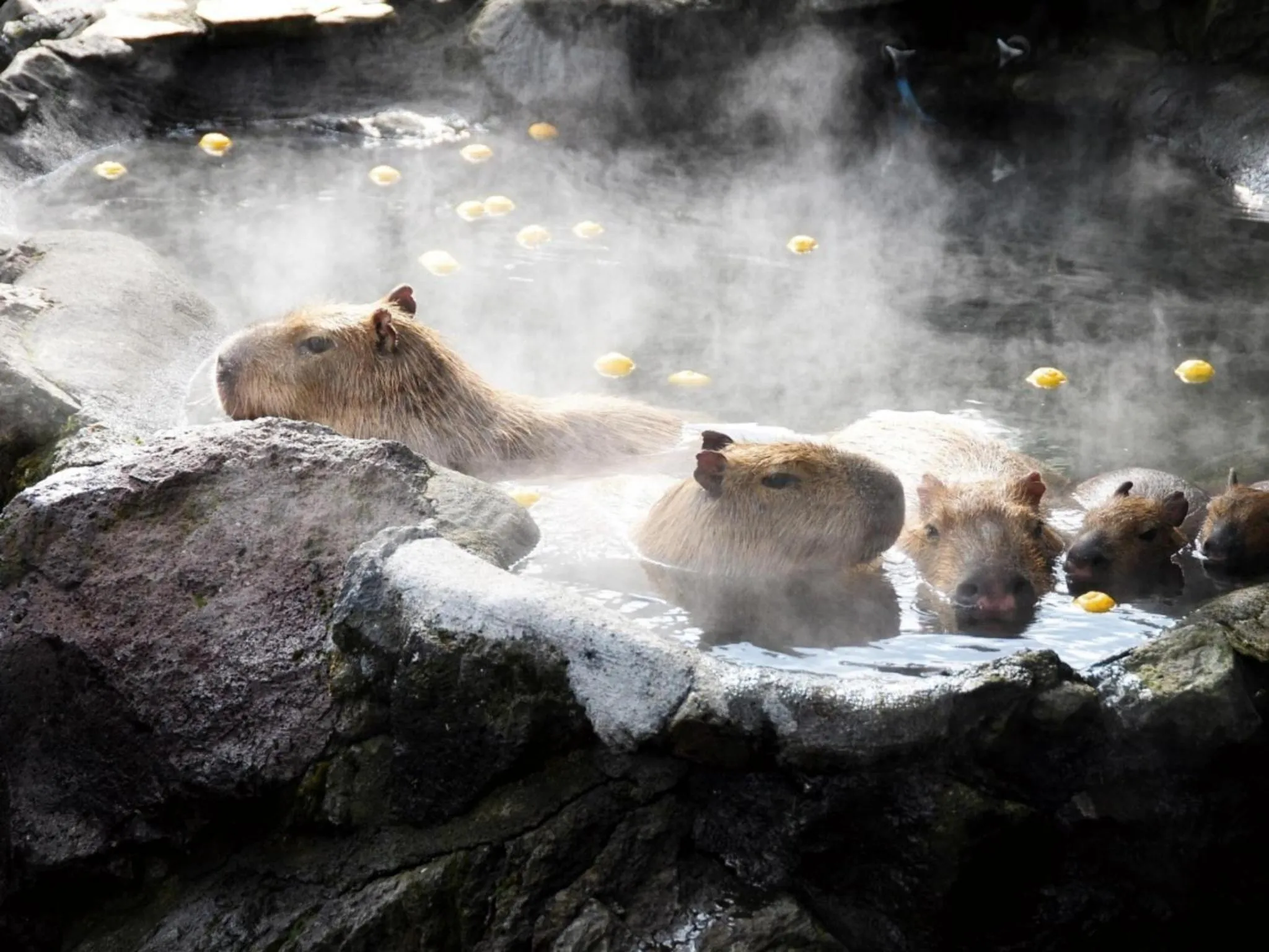 Nearby landmark in Shuzenji Onsen Hotel Takitei